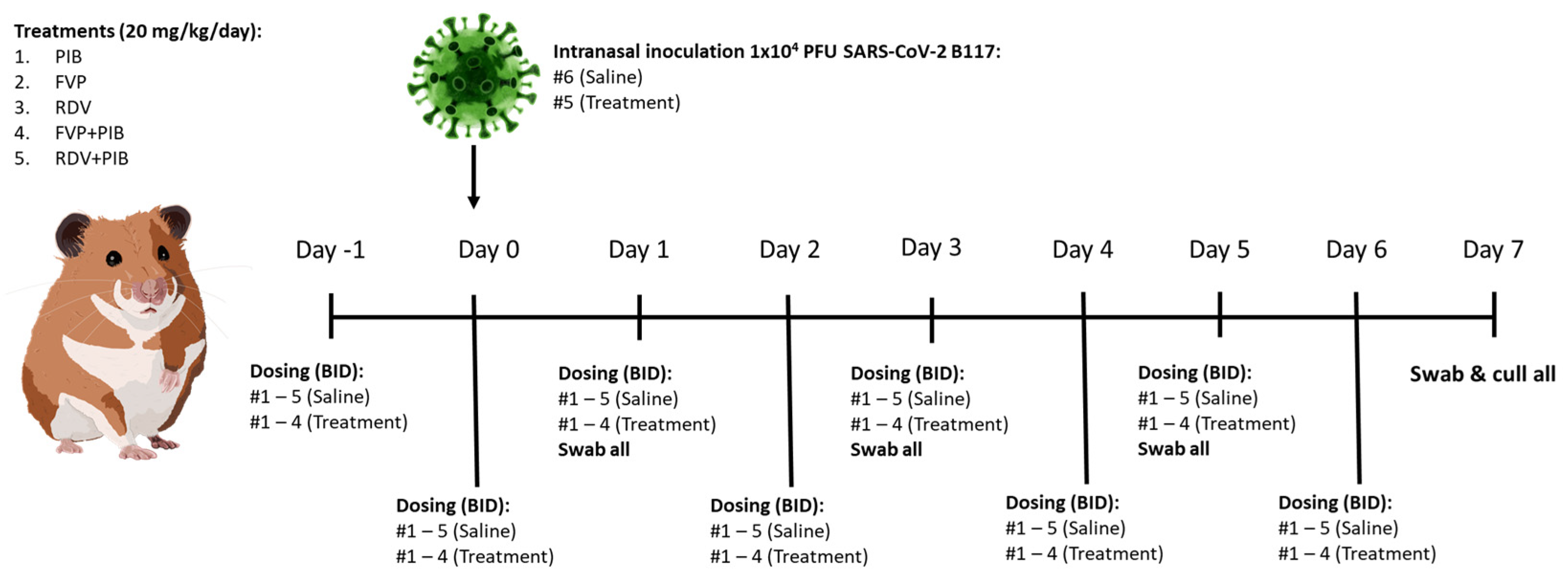 Viruses 15 02161 g001