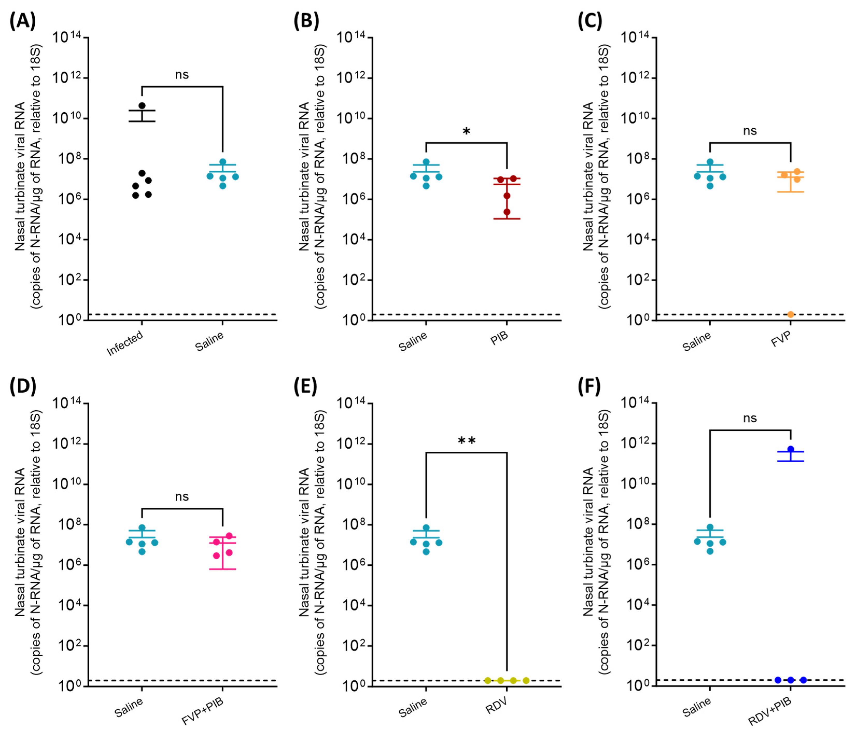 Viruses 15 02161 g004