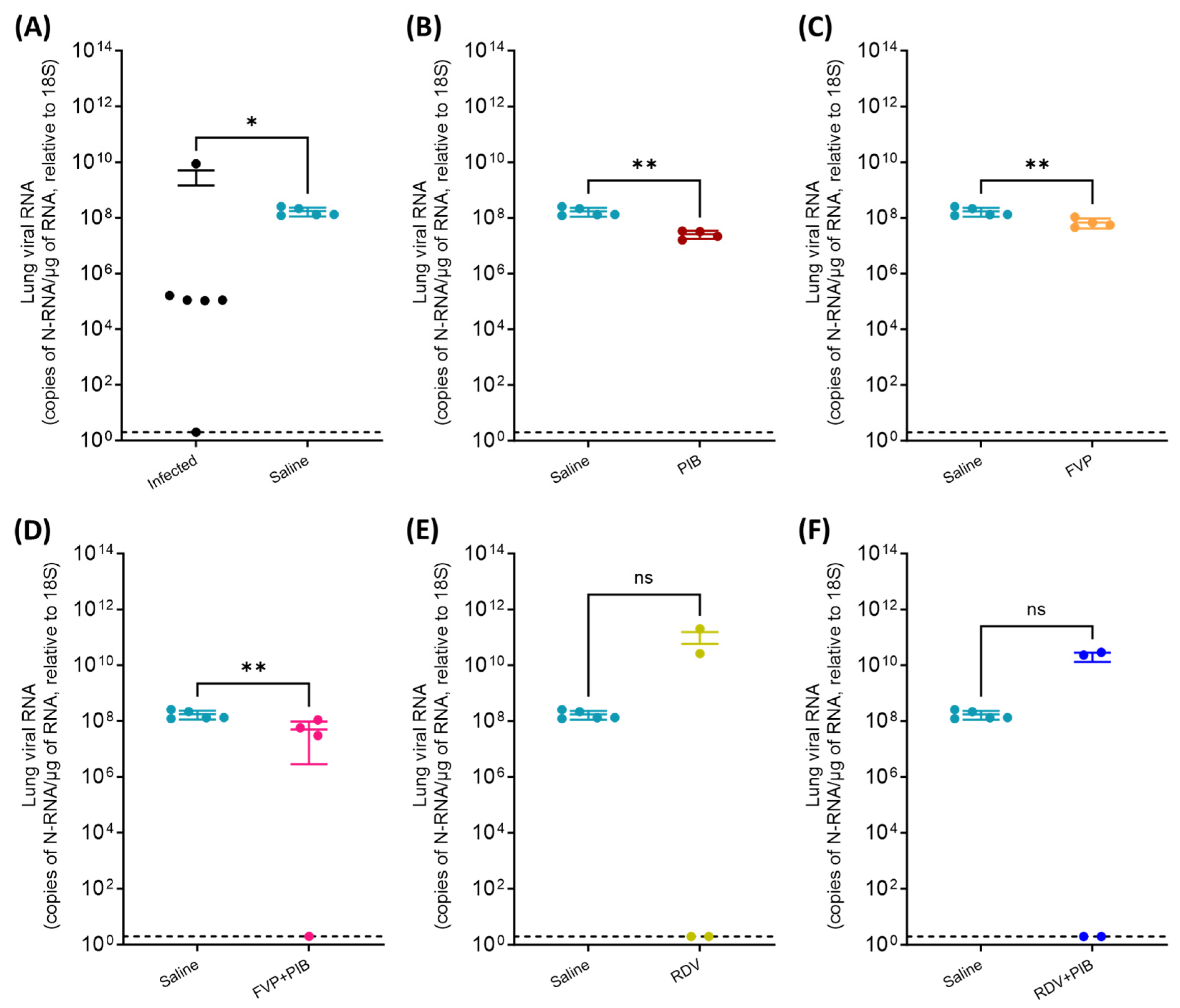 Viruses 15 02161 g005