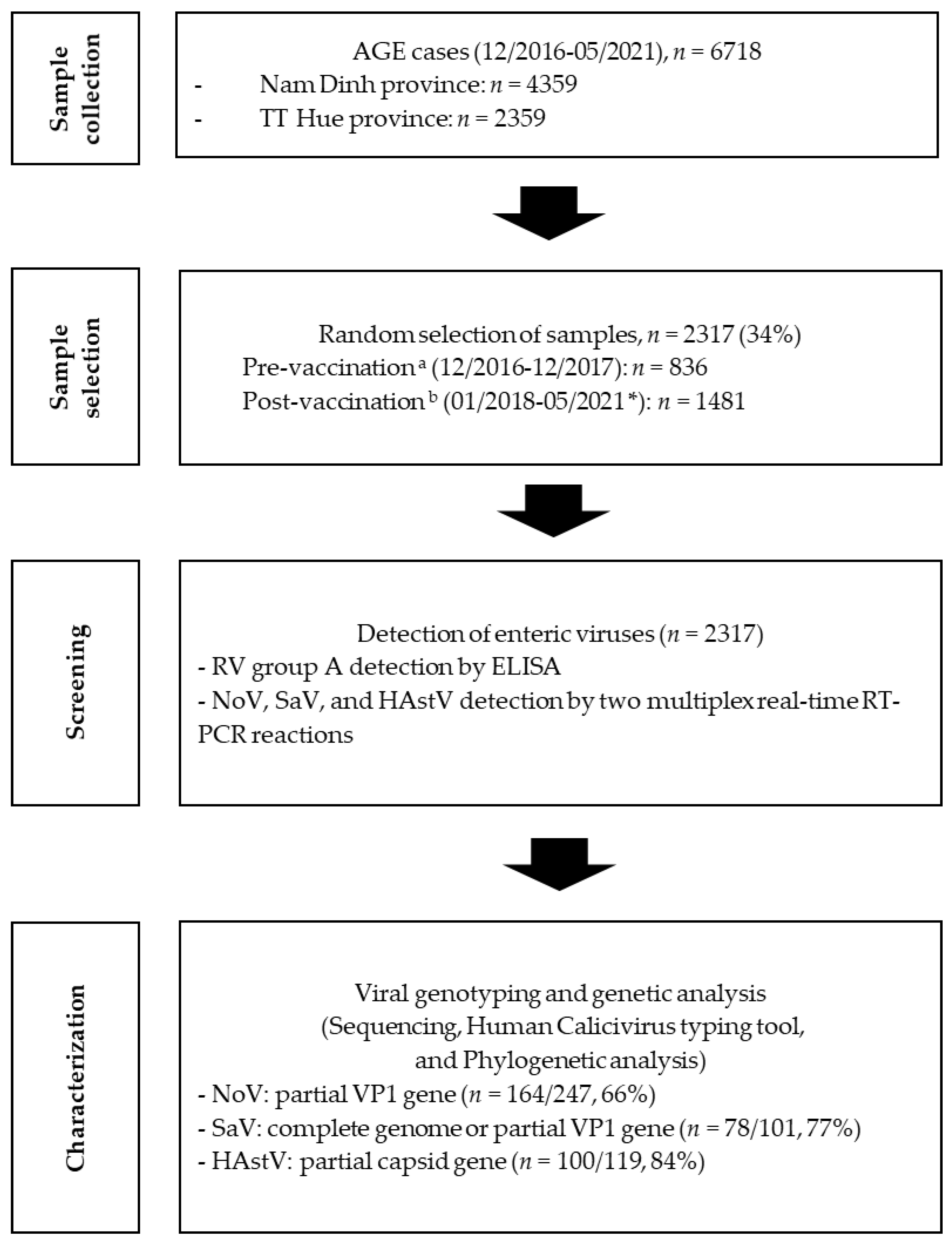 Viruses 15 02164 g001