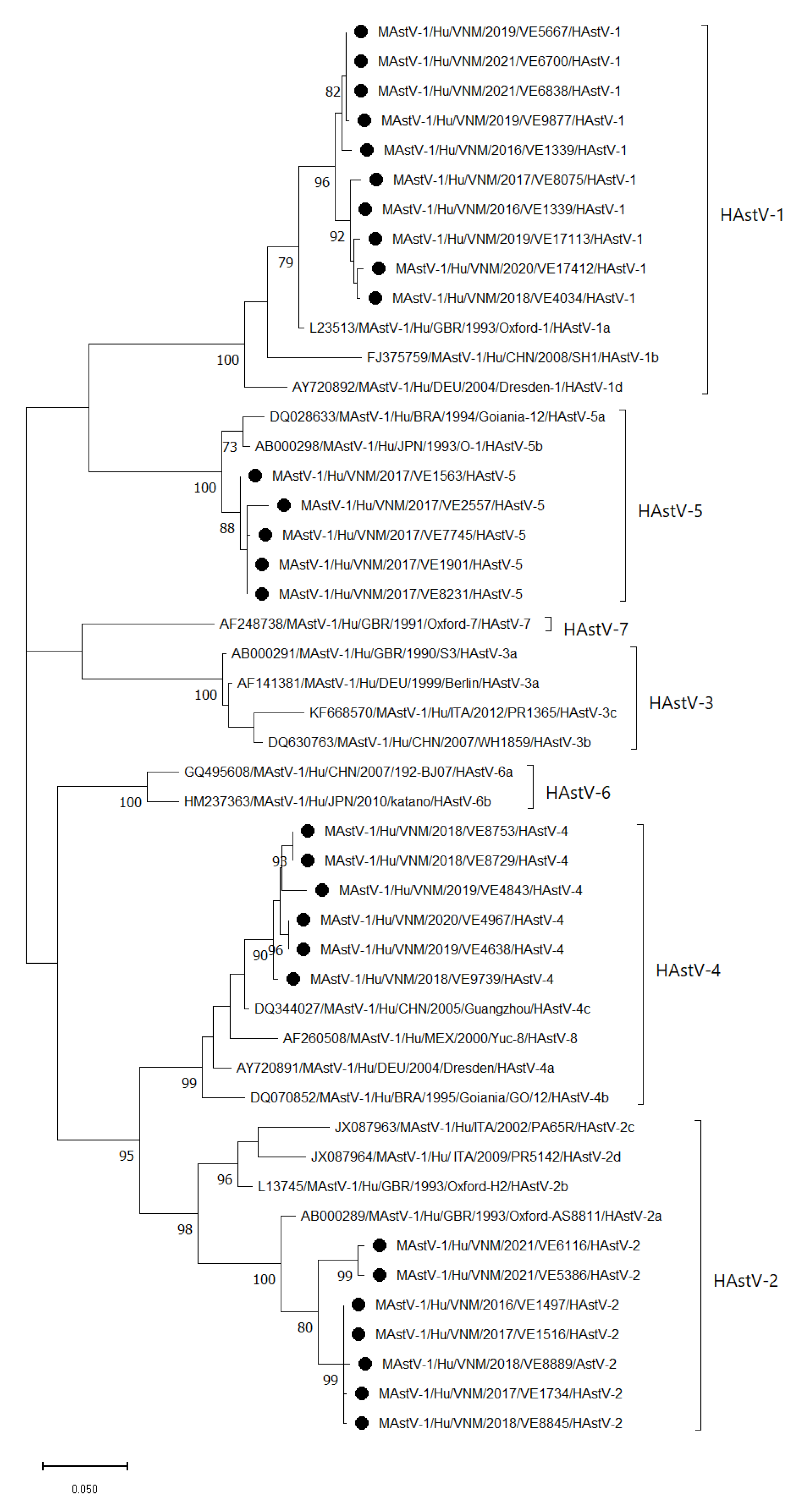 Viruses 15 02164 g004