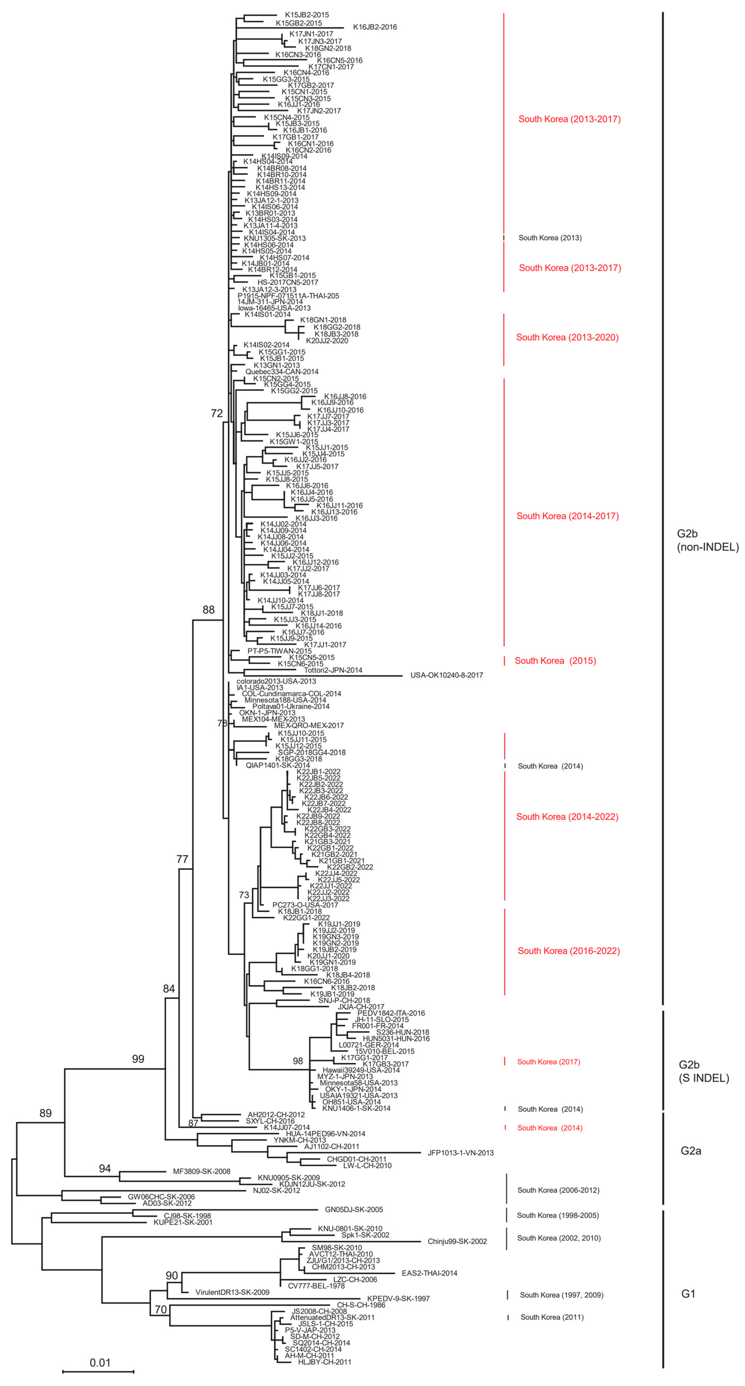 Viruses 15 02165 g002