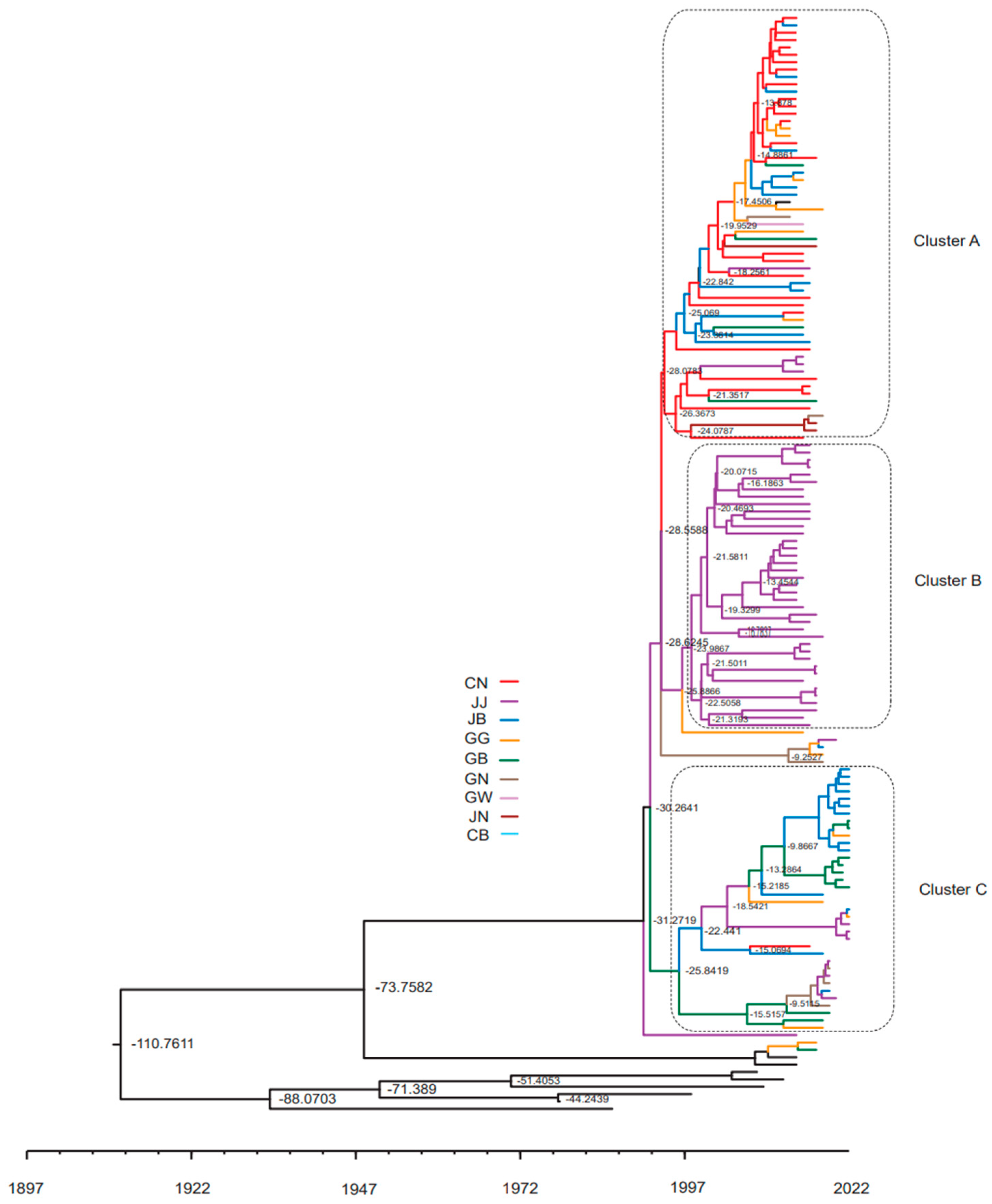 Viruses 15 02165 g005