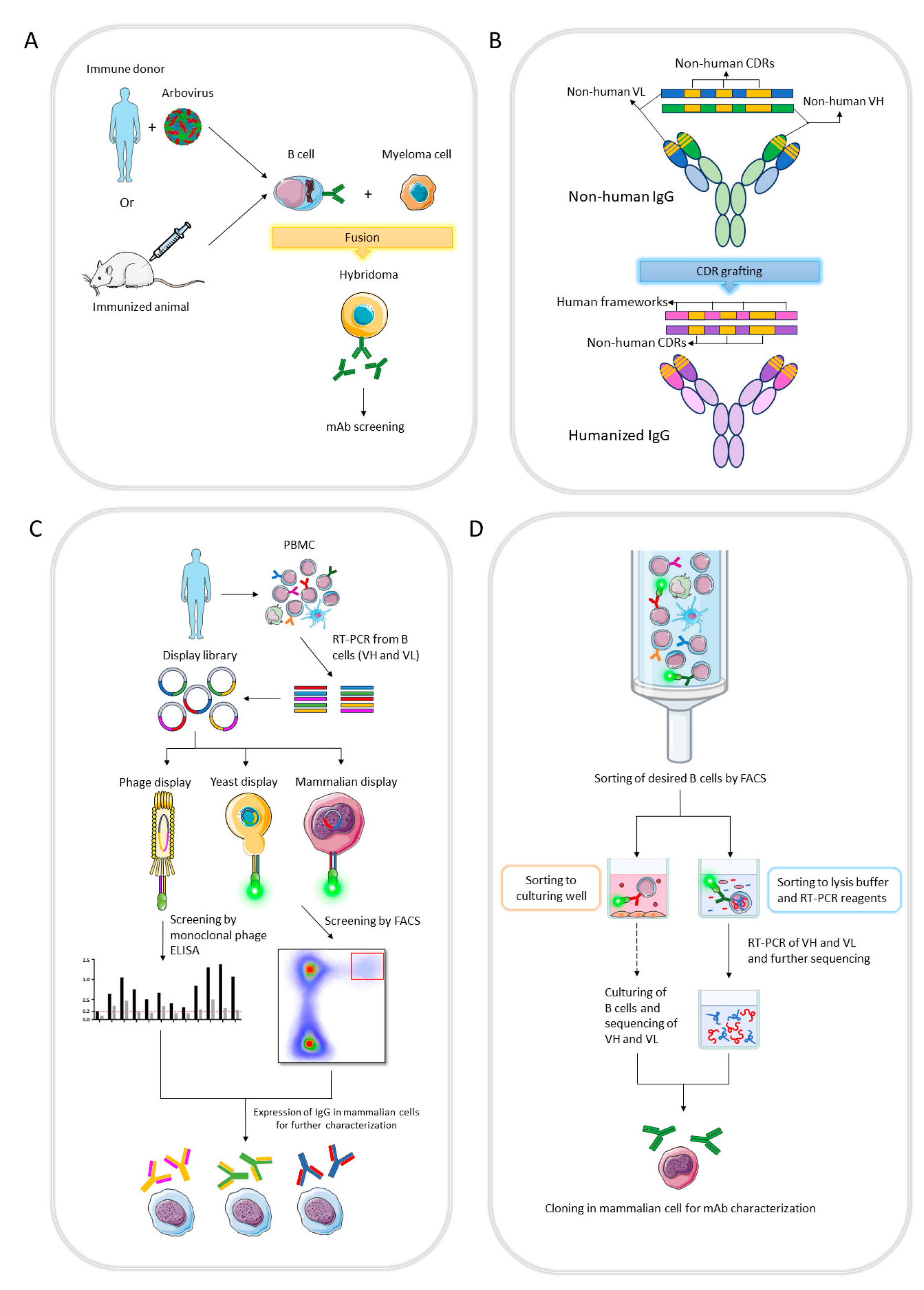 Viruses 15 02177 g001
