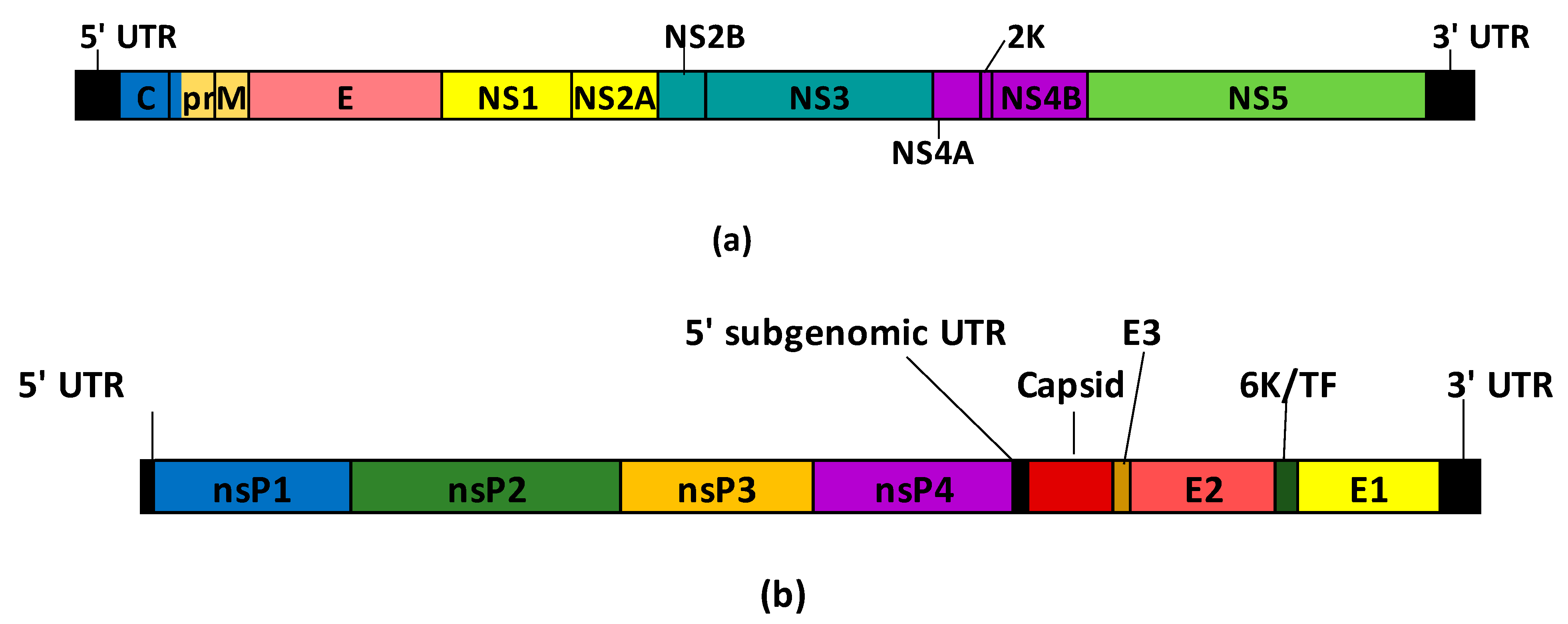 Viruses 15 02177 g002