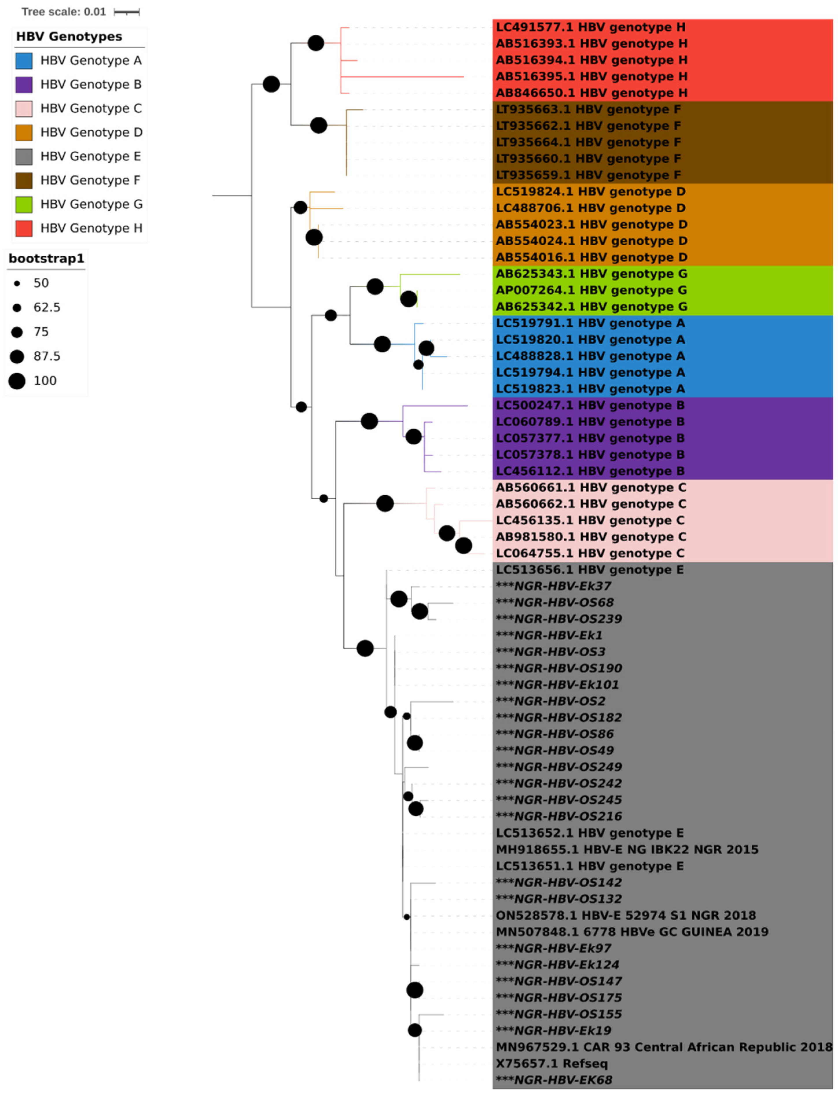 Viruses 15 02188 g001 Viruses 15 02188 g001