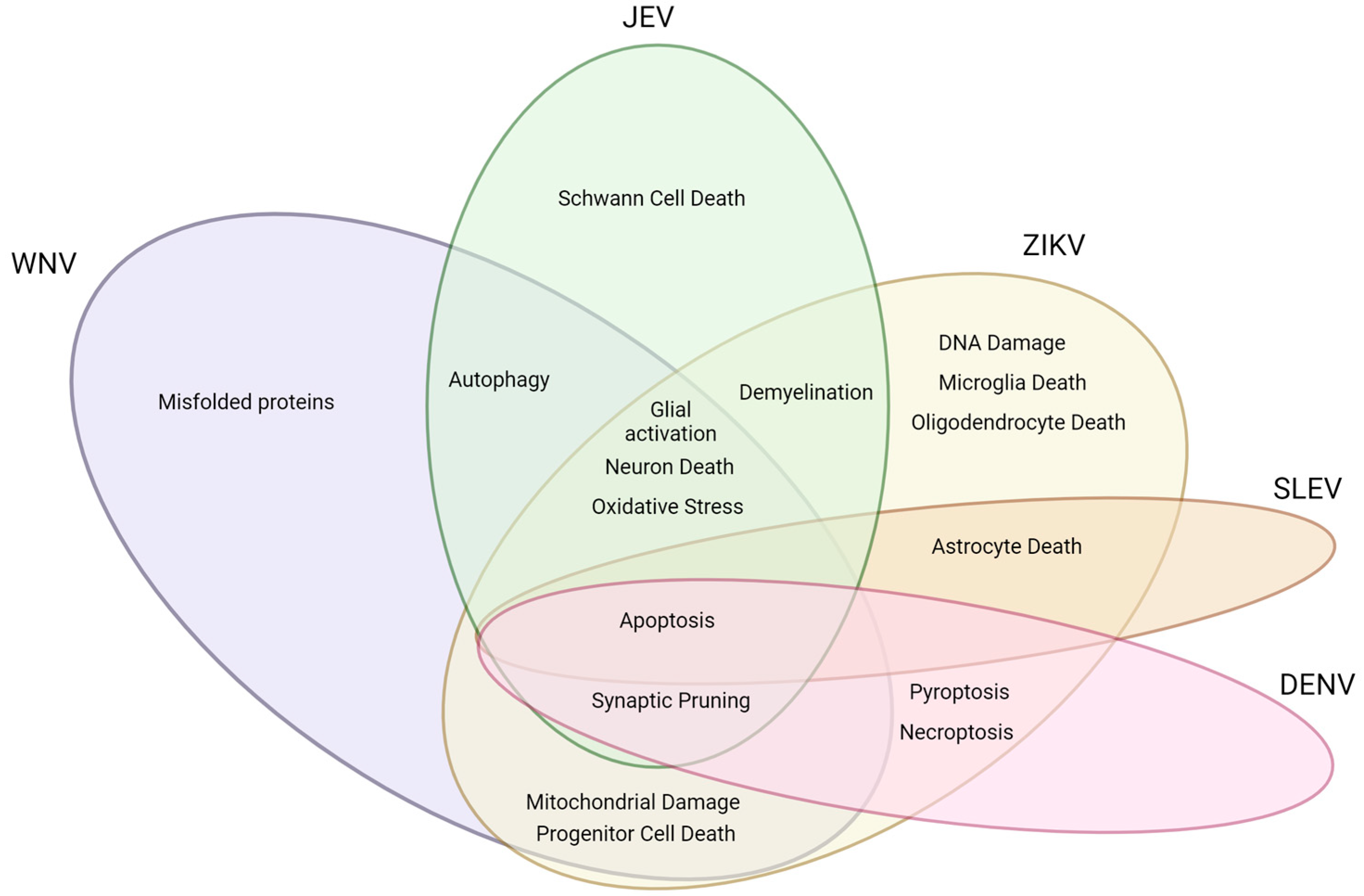 Viruses 15 02200 g002