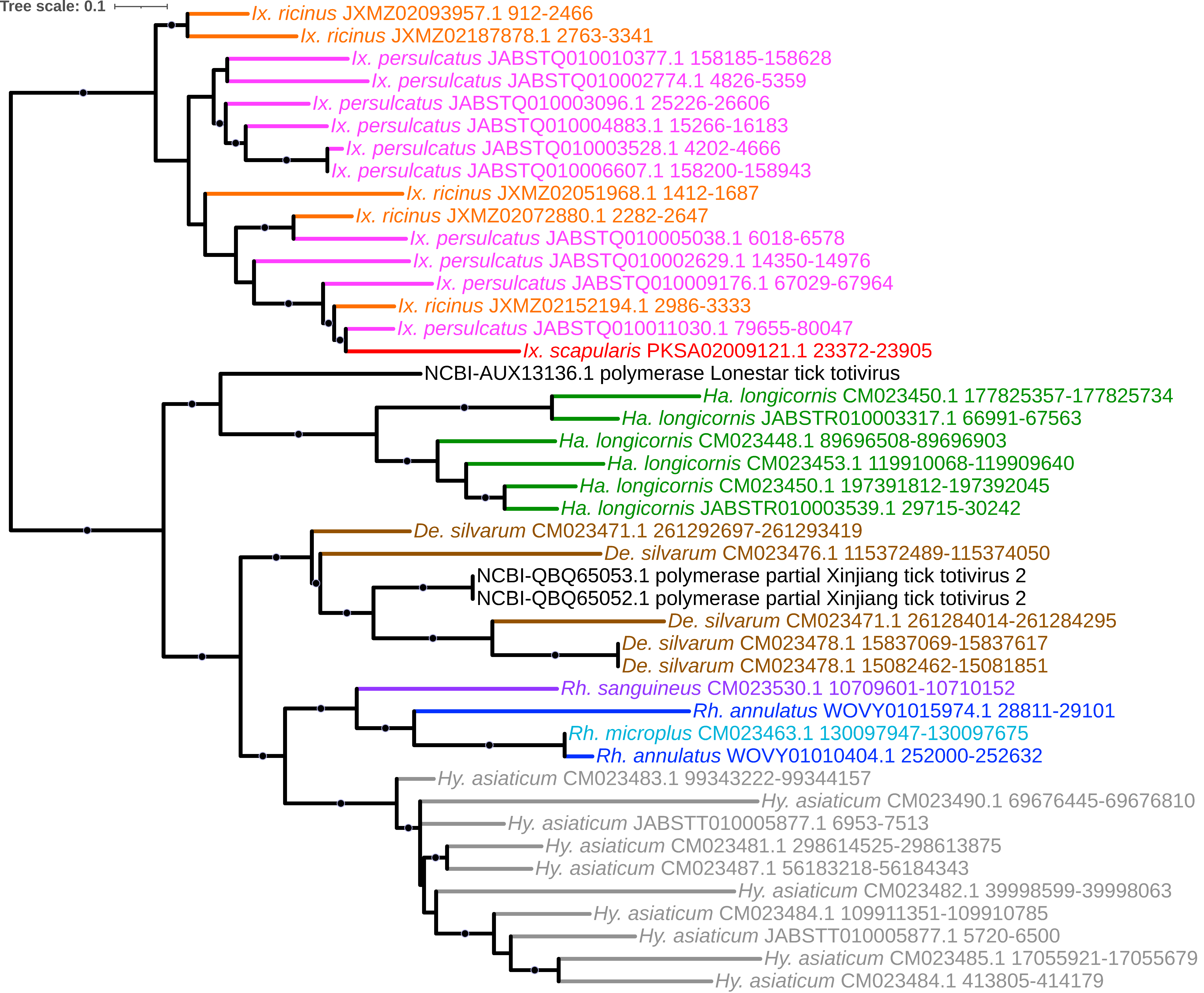 Viruses 15 02201 g011 Viruses 15 02201 g011