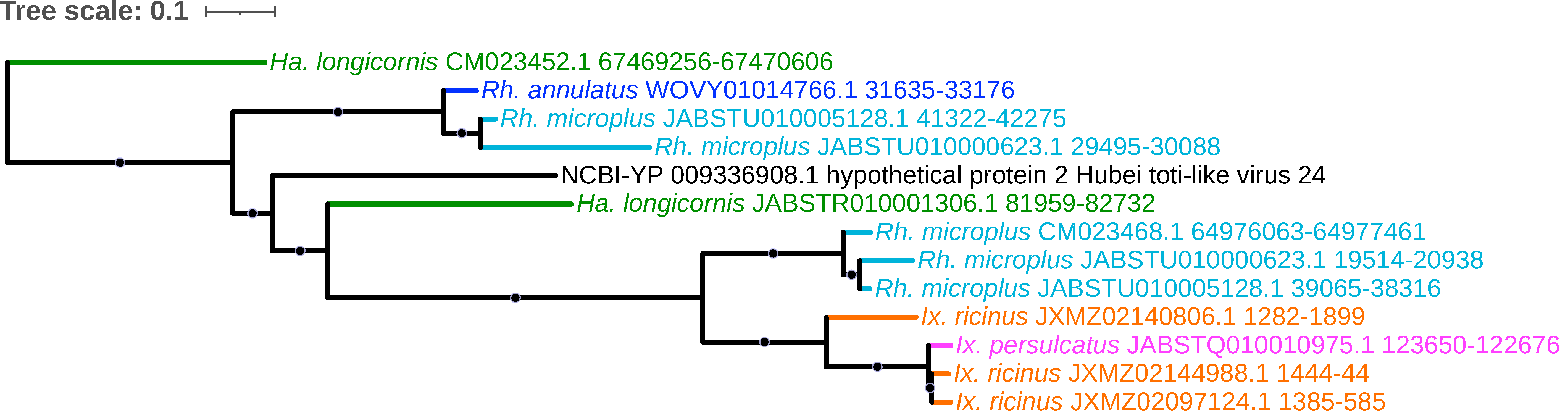 Viruses 15 02201 g014 Viruses 15 02201 g014
