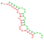 Viruses 15 02206 i002 Viruses 15 02206 i002