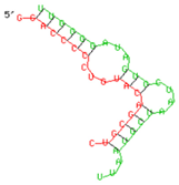 Viruses 15 02206 i004 Viruses 15 02206 i004