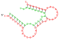 Viruses 15 02206 i010 Viruses 15 02206 i010