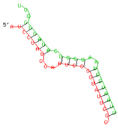 Viruses 15 02206 i012 Viruses 15 02206 i012