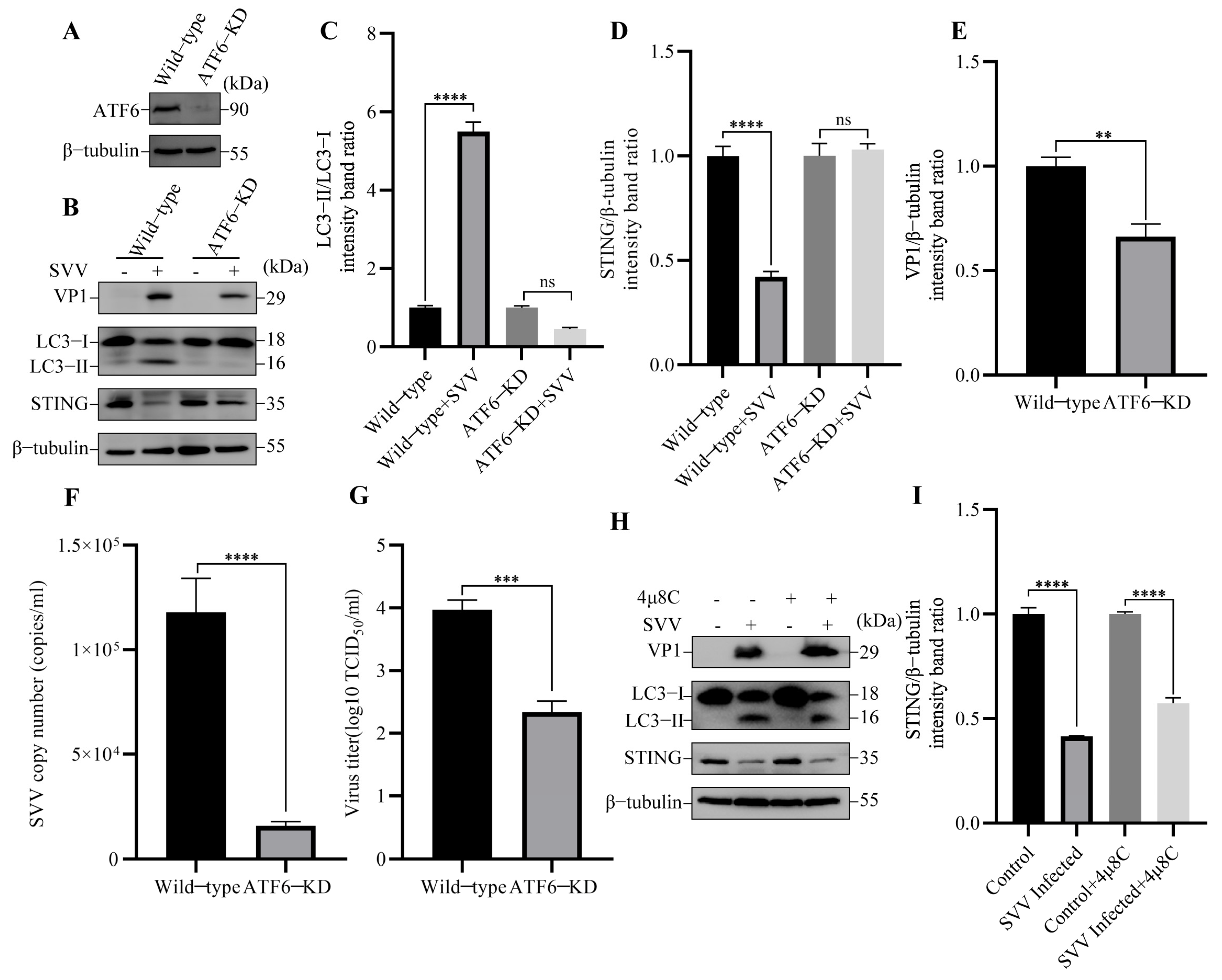 Viruses 15 02209 g007