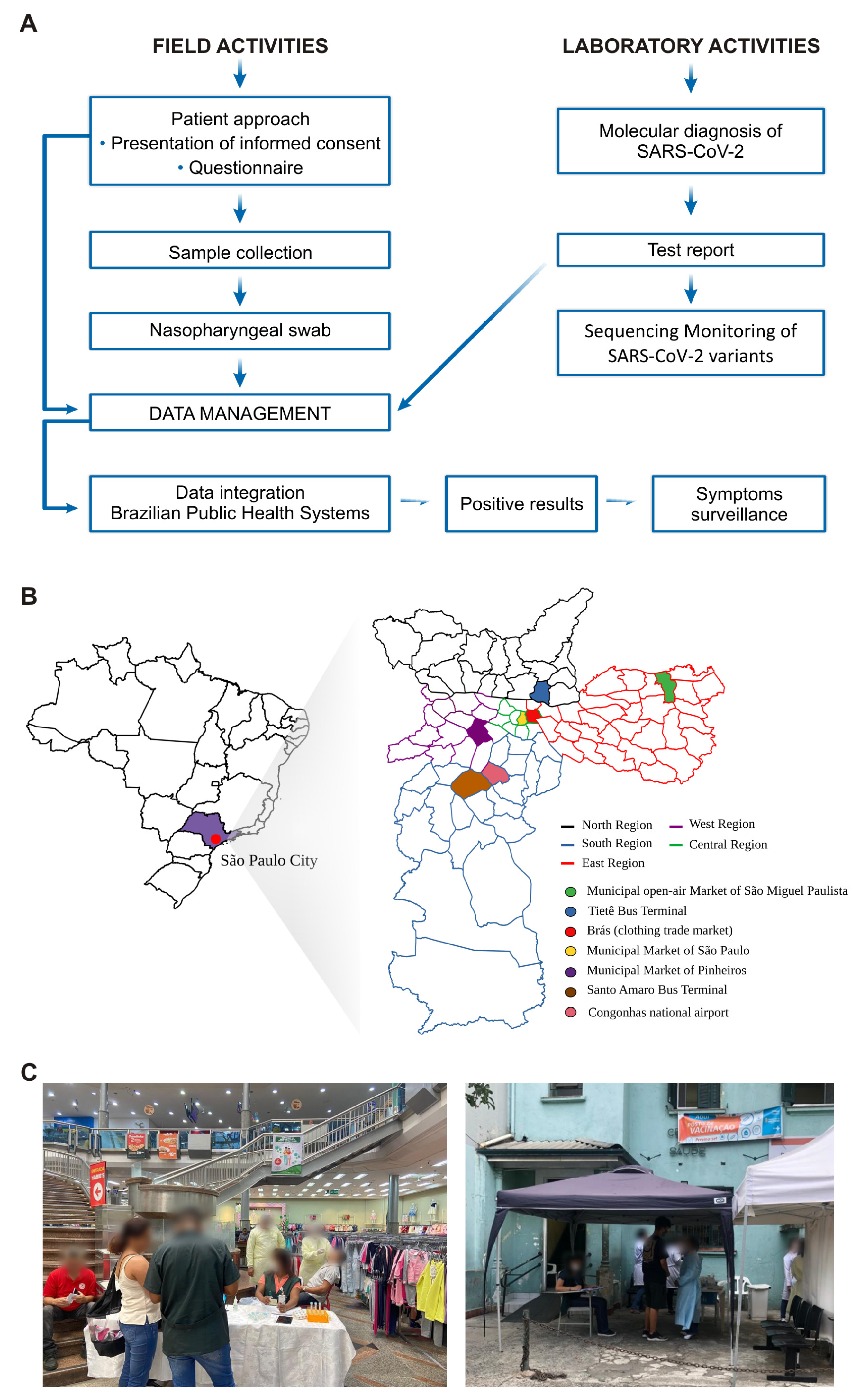 Viruses 15 02210 g001
