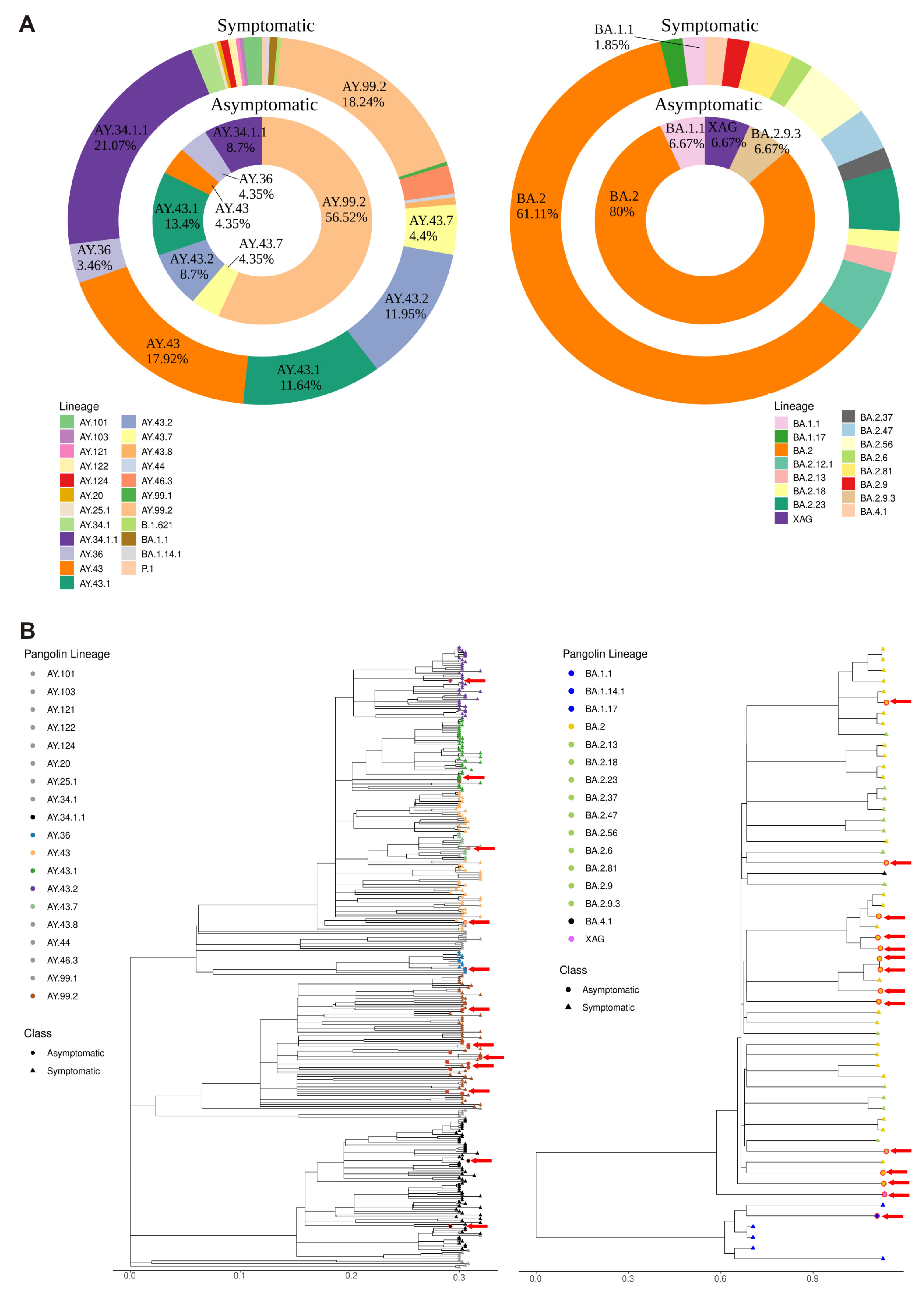 Viruses 15 02210 g002
