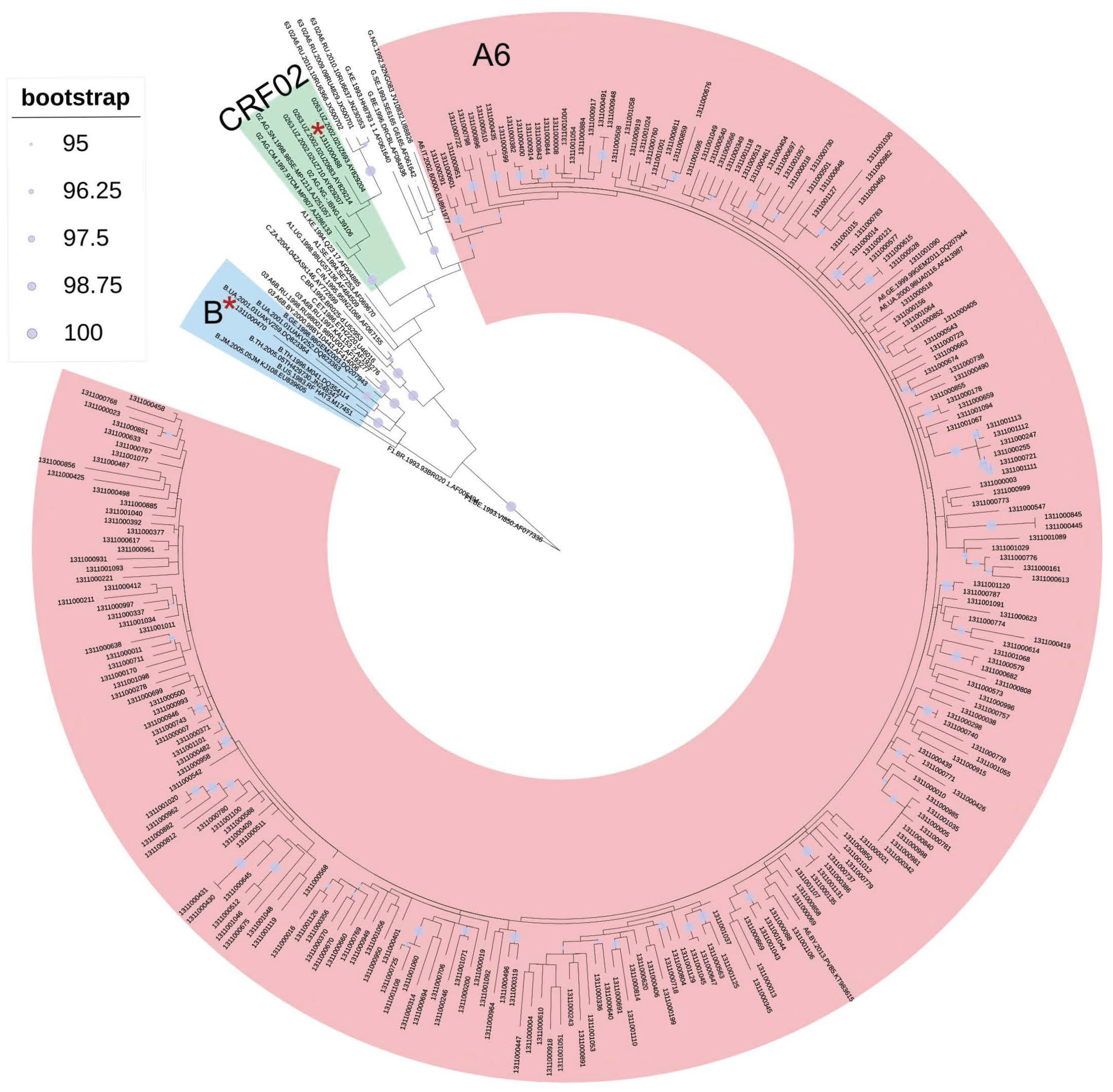 Viruses 15 02212 g001