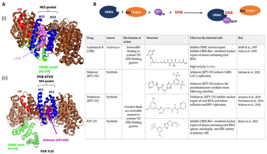 Viruses 15 02218 g003