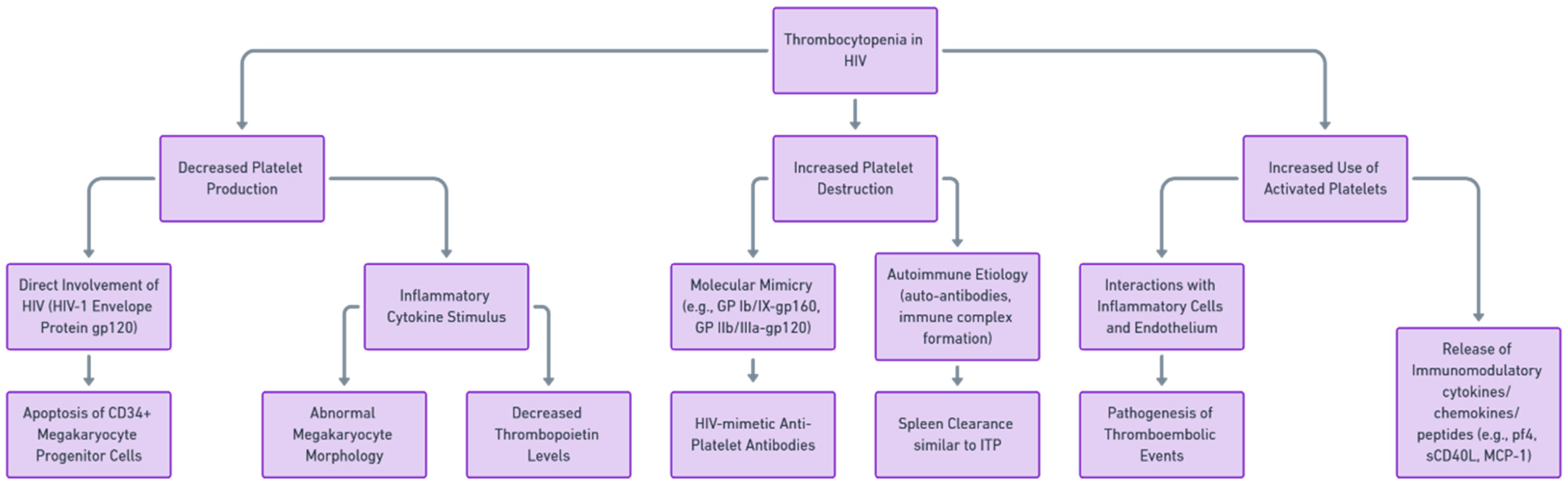 Viruses 15 02226 g001