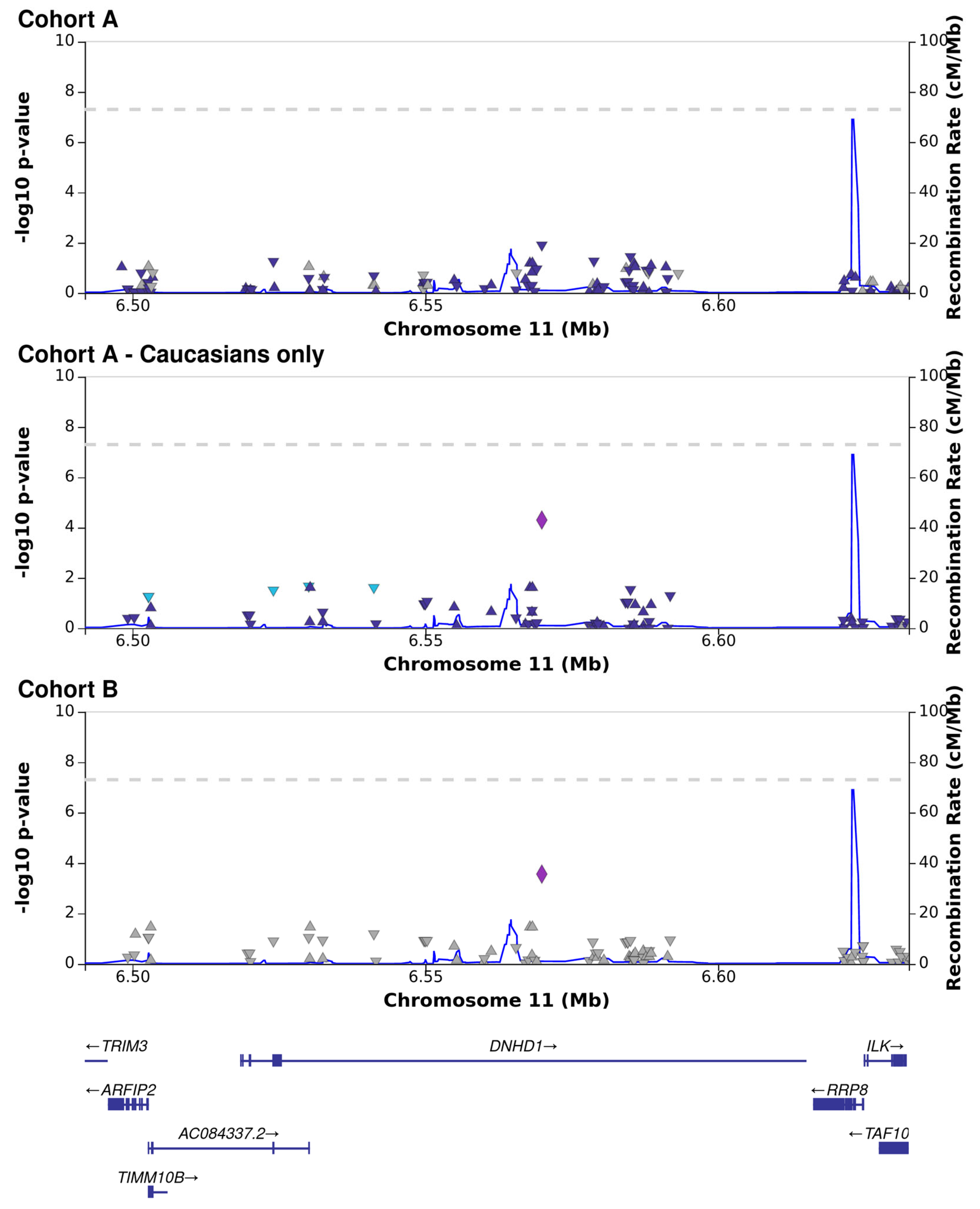 Viruses 15 02227 g002