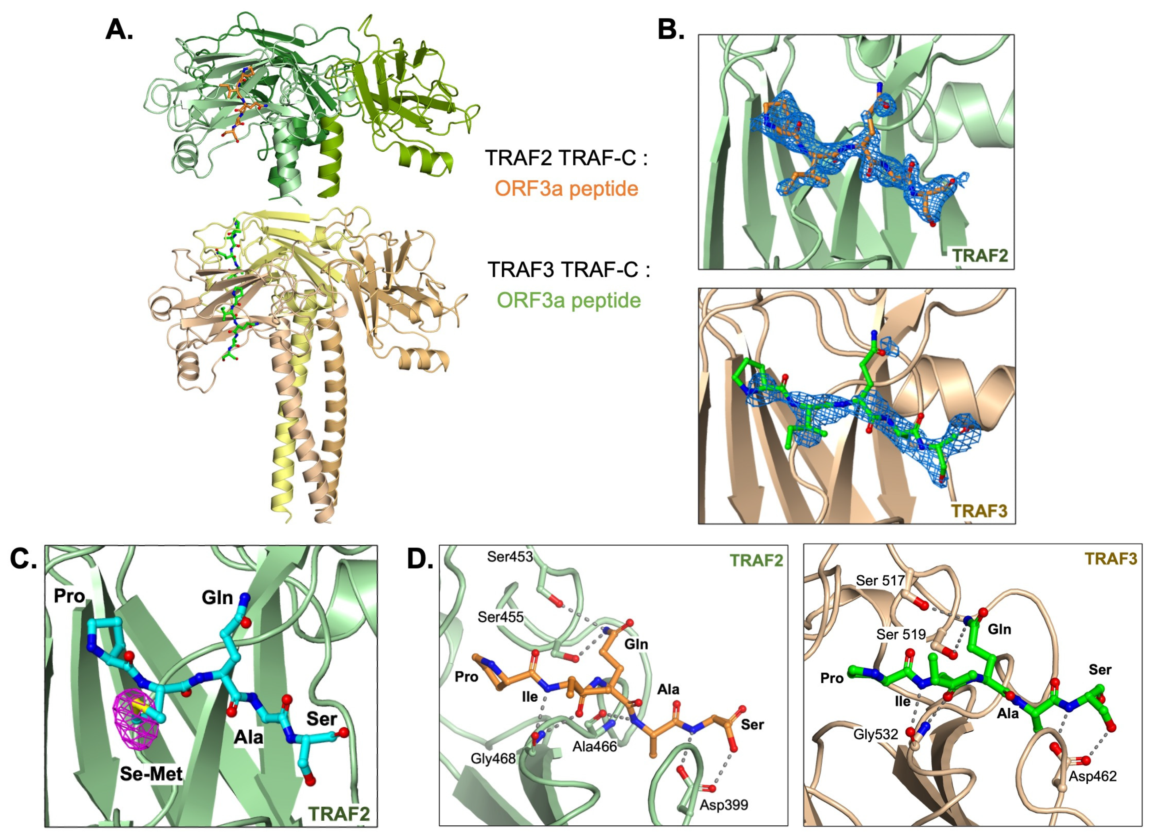 Viruses 15 02229 g001