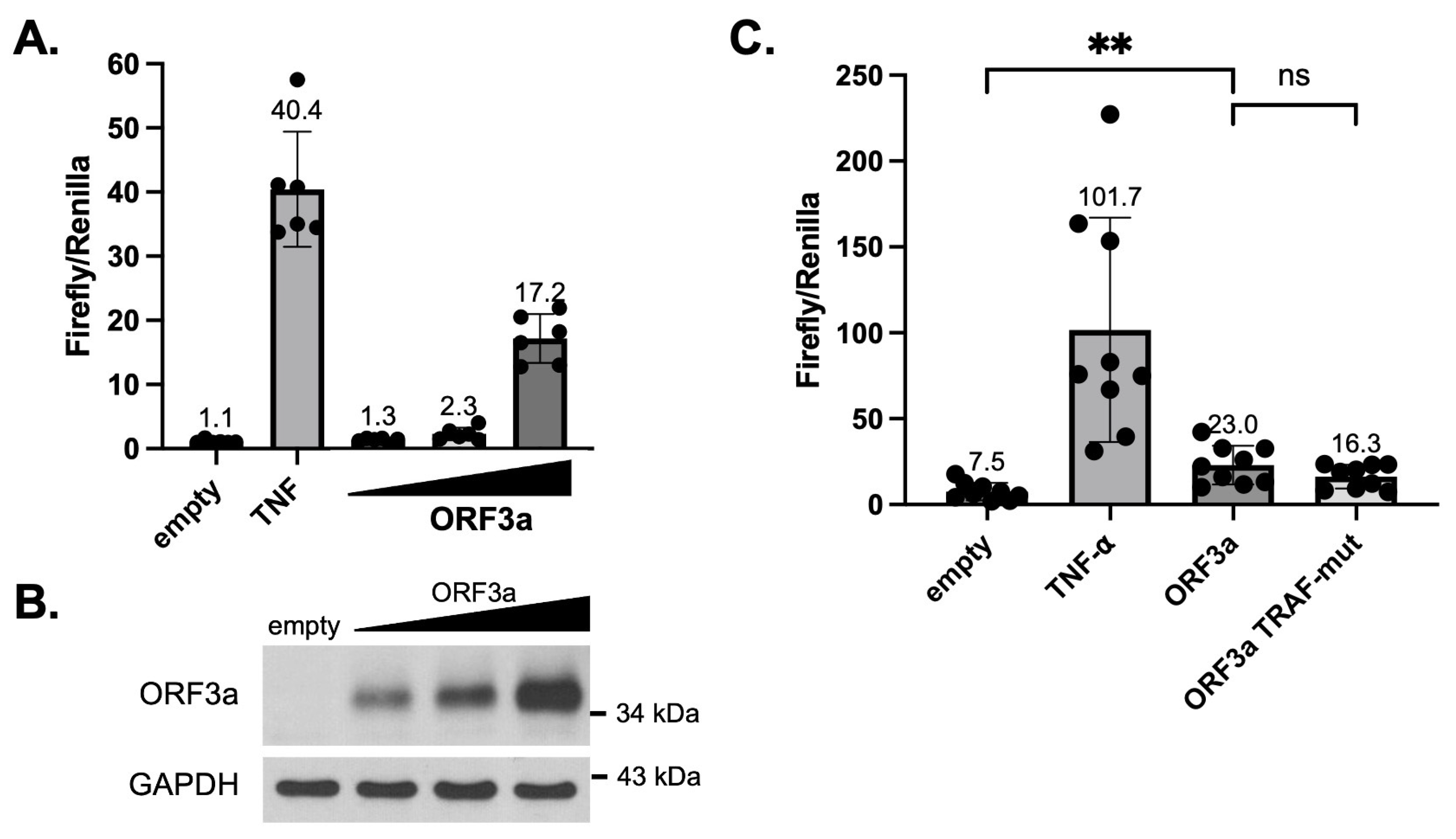 Viruses 15 02229 g003