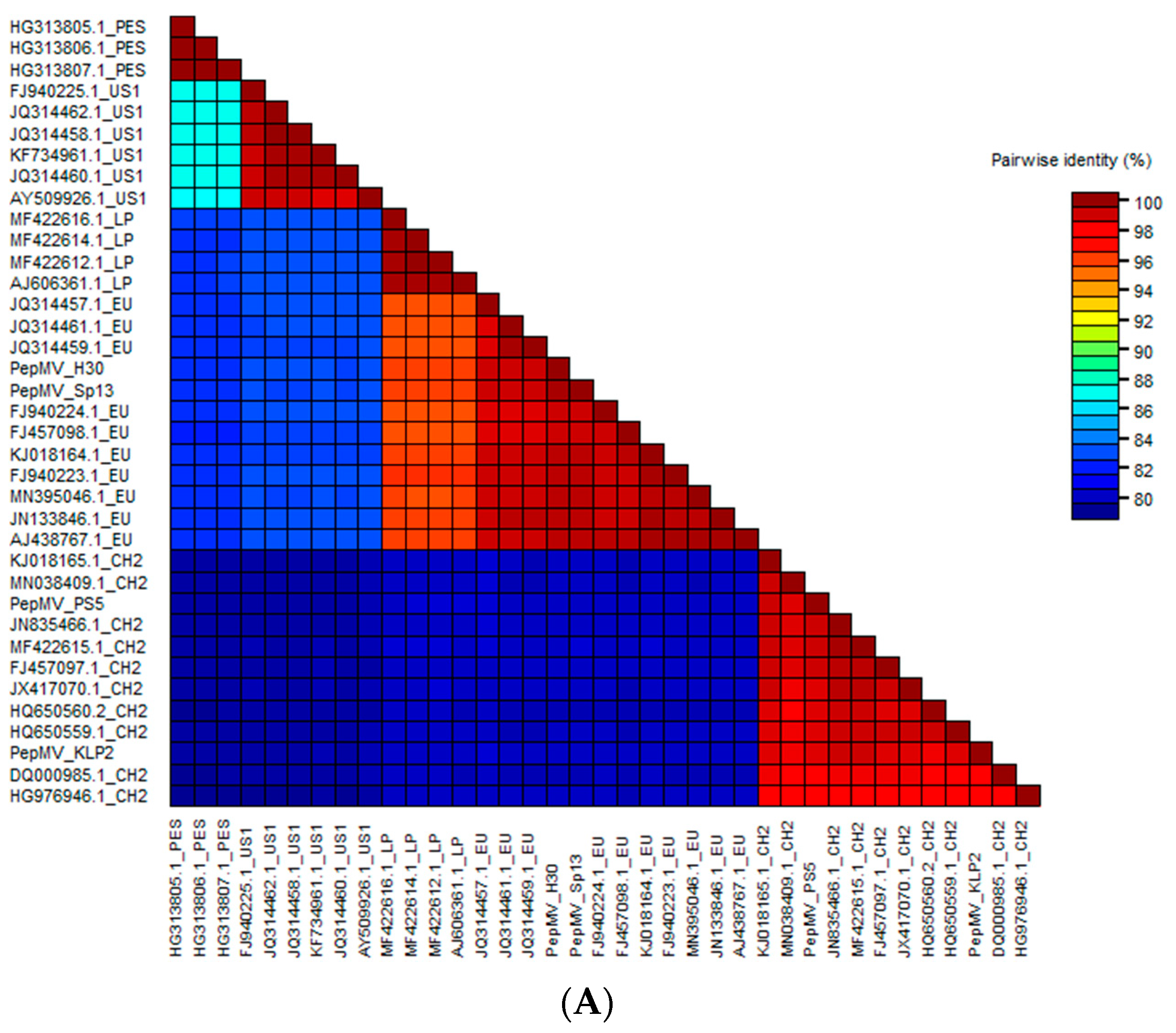 Viruses 15 02230 g002a