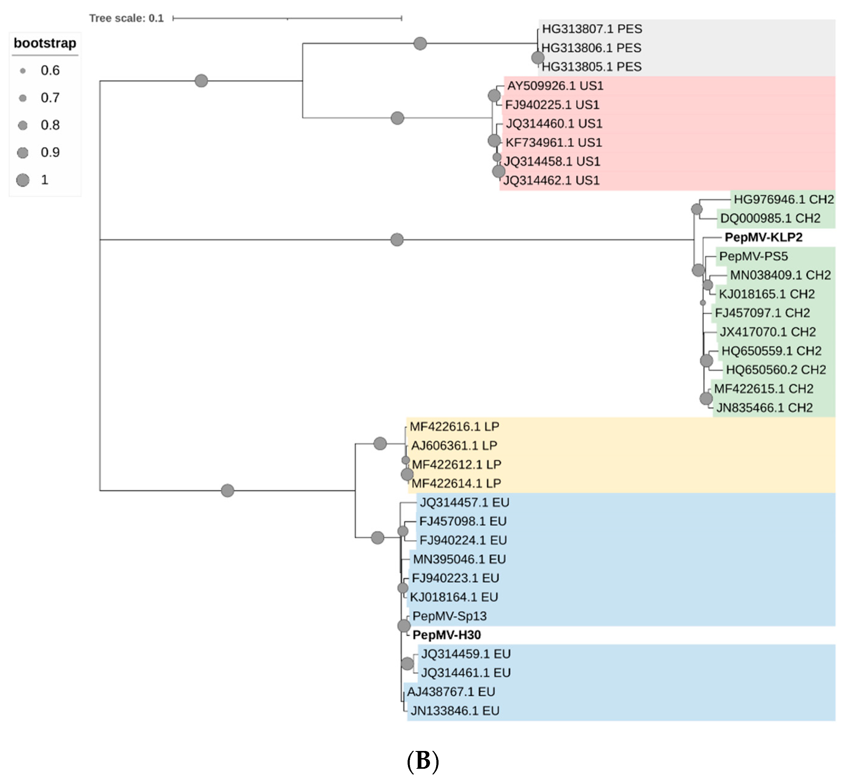 Viruses 15 02230 g002b
