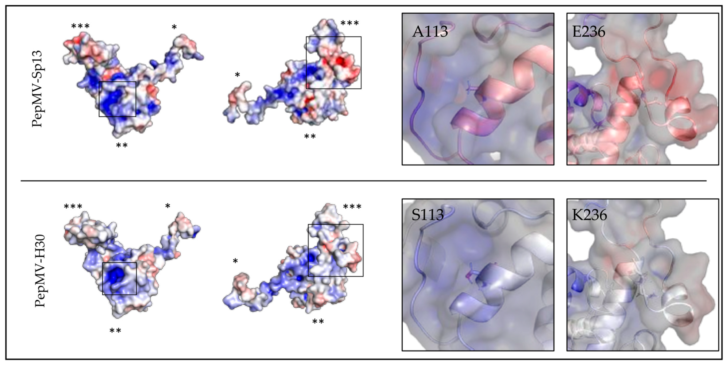 Viruses 15 02230 g004