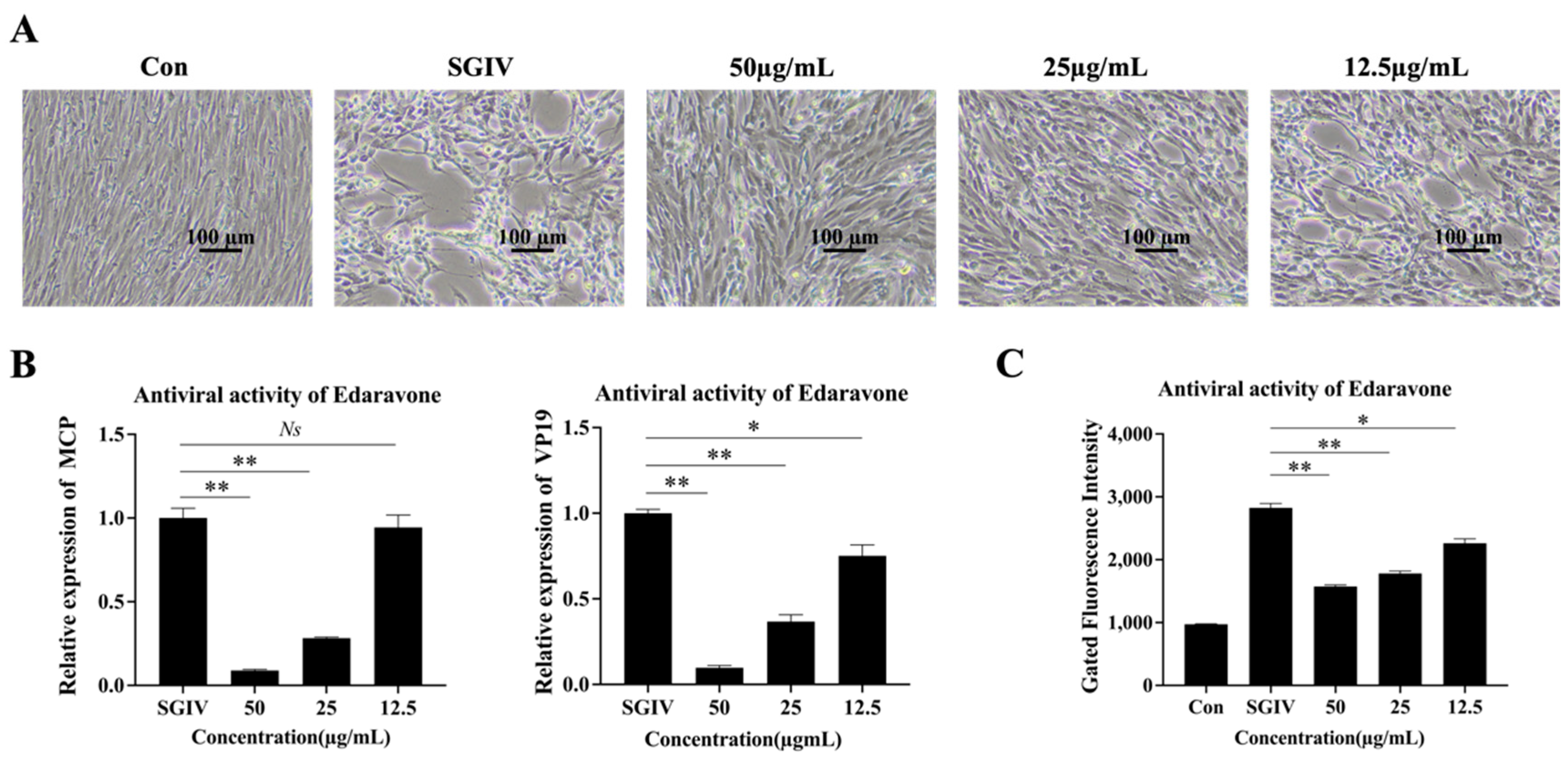 Viruses 15 02237 g002