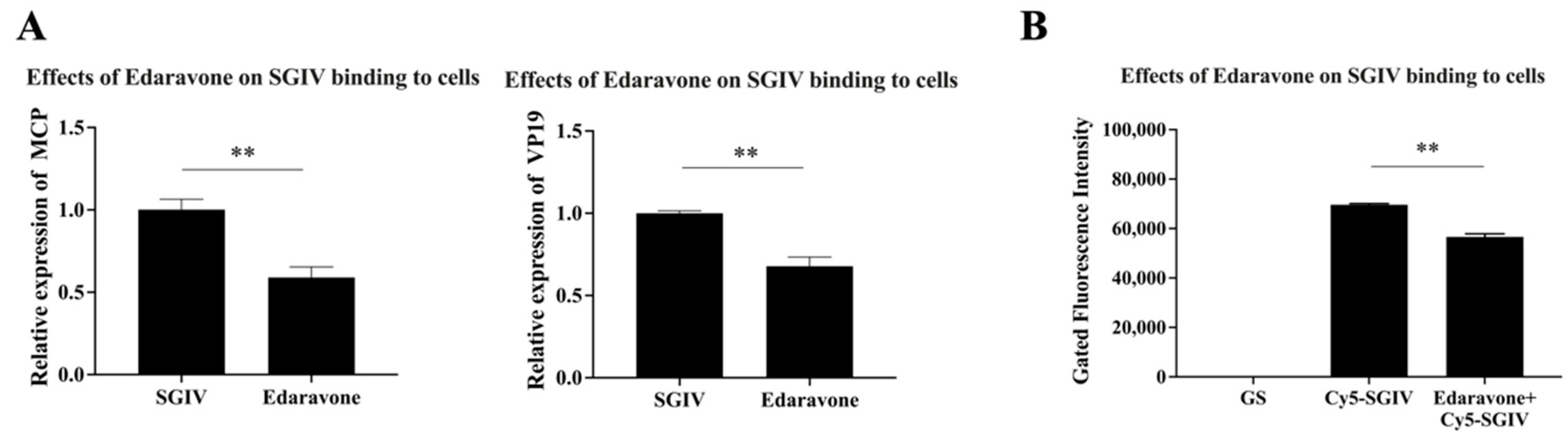 Viruses 15 02237 g004