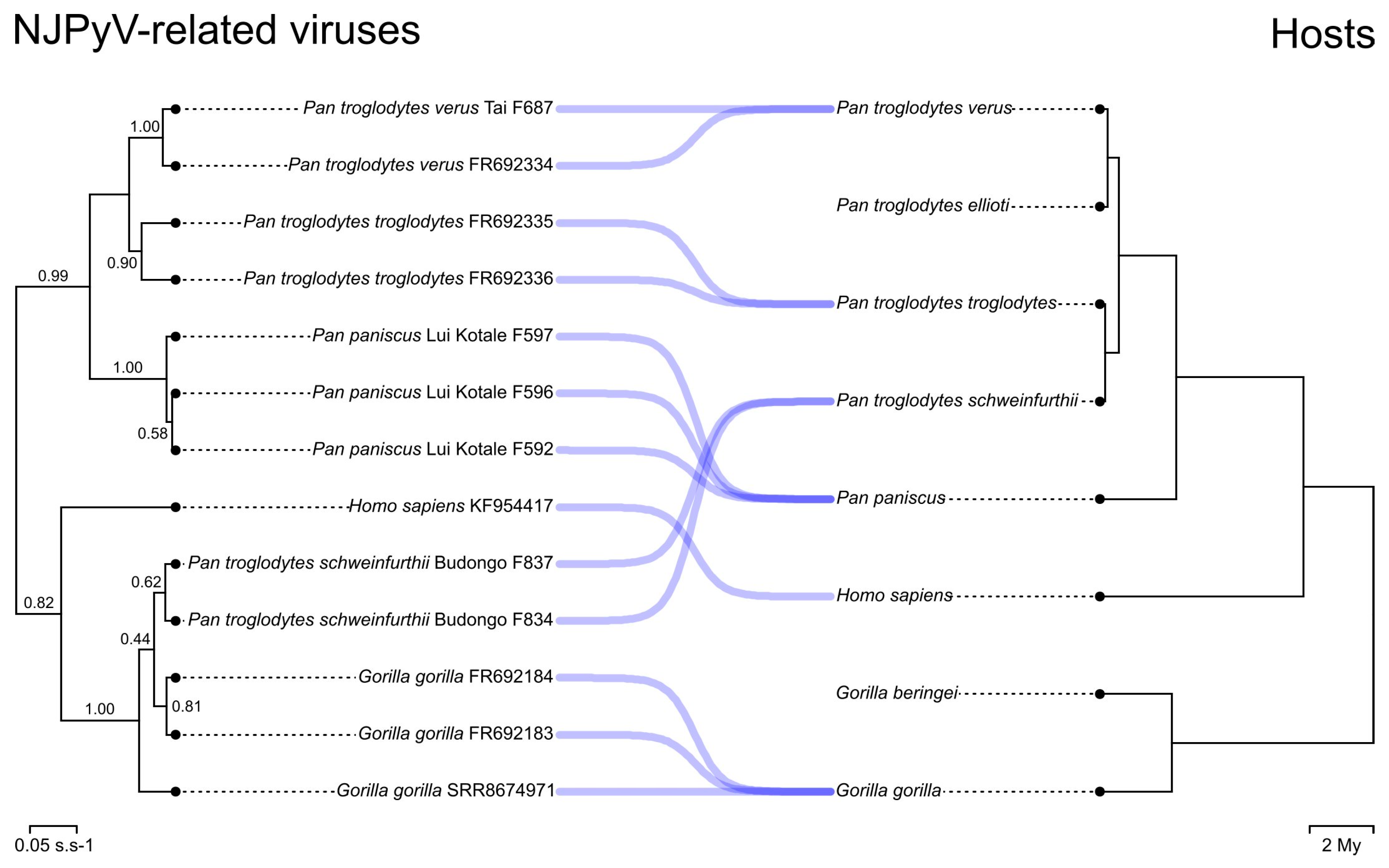 Viruses 15 02248 g001