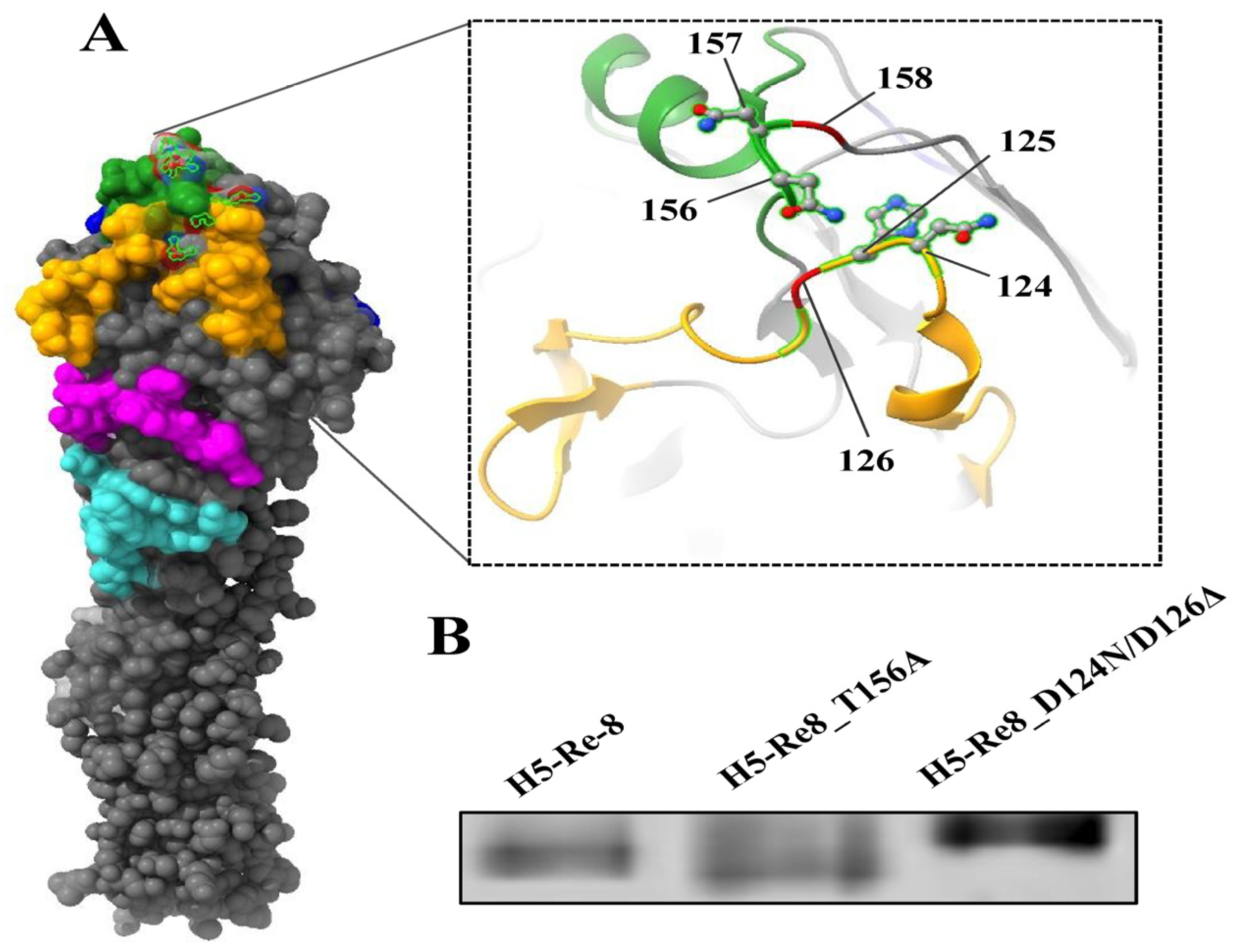 Viruses 15 02249 g002