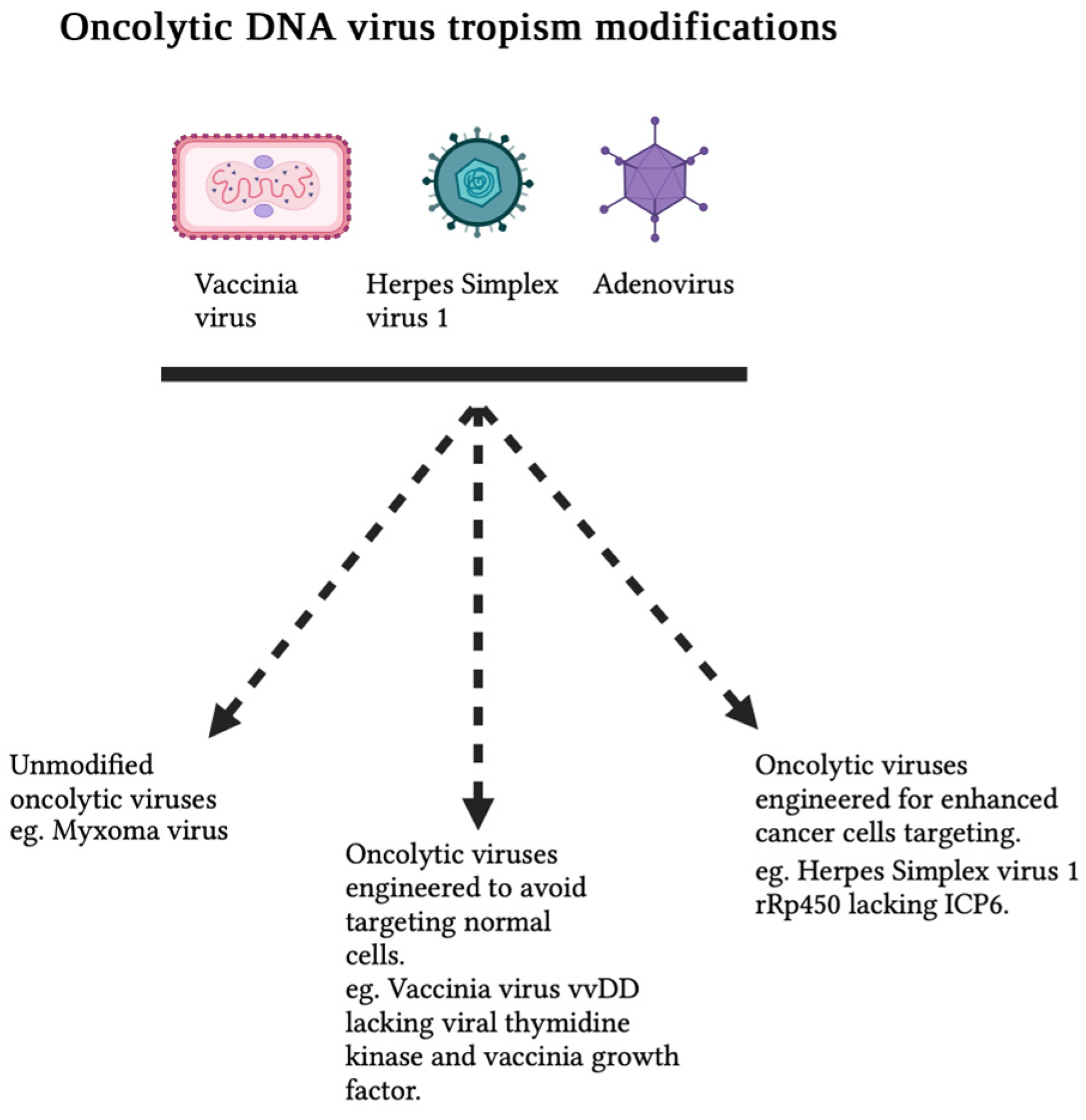 Viruses 15 02262 g001