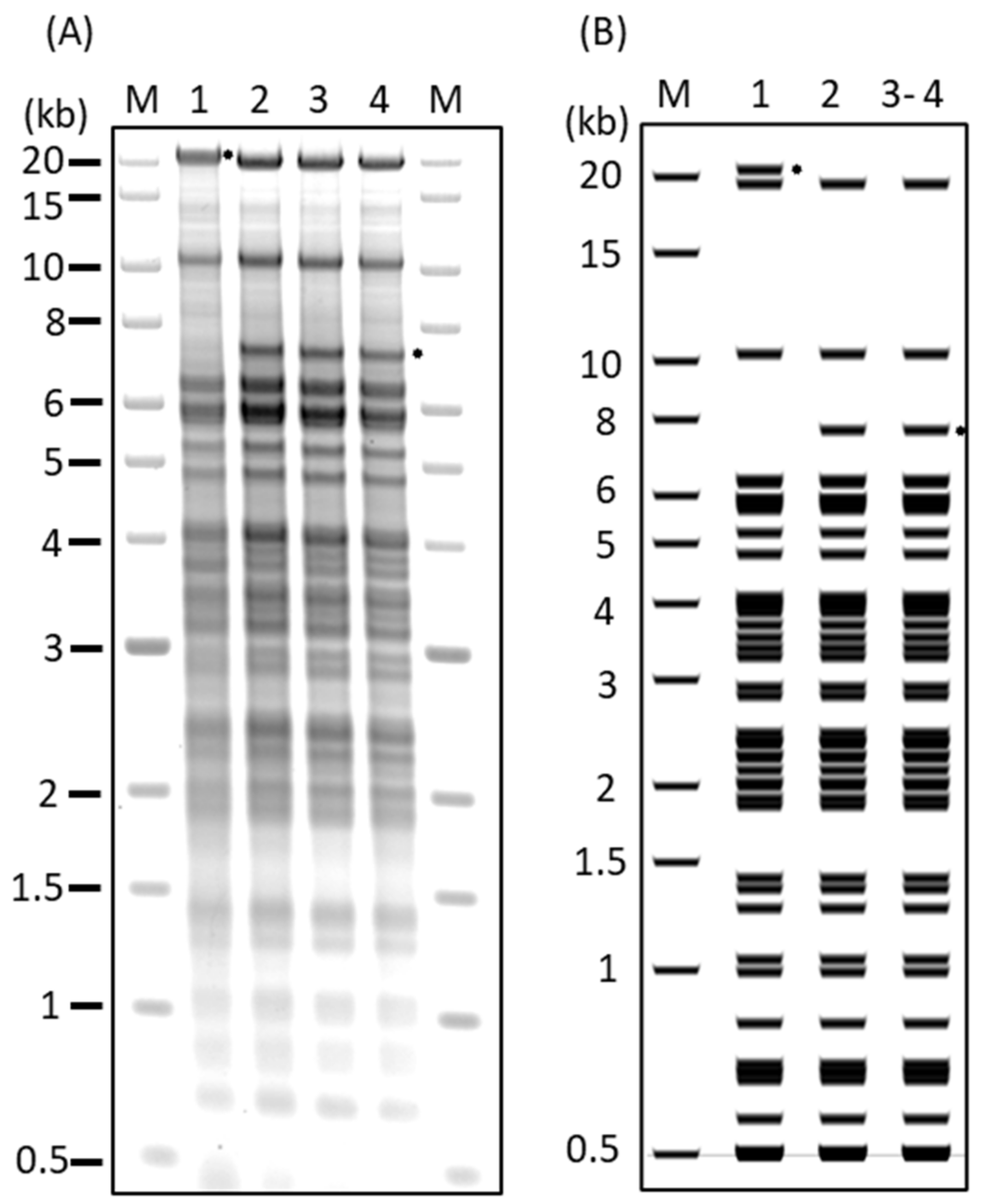 Viruses 15 02263 g001