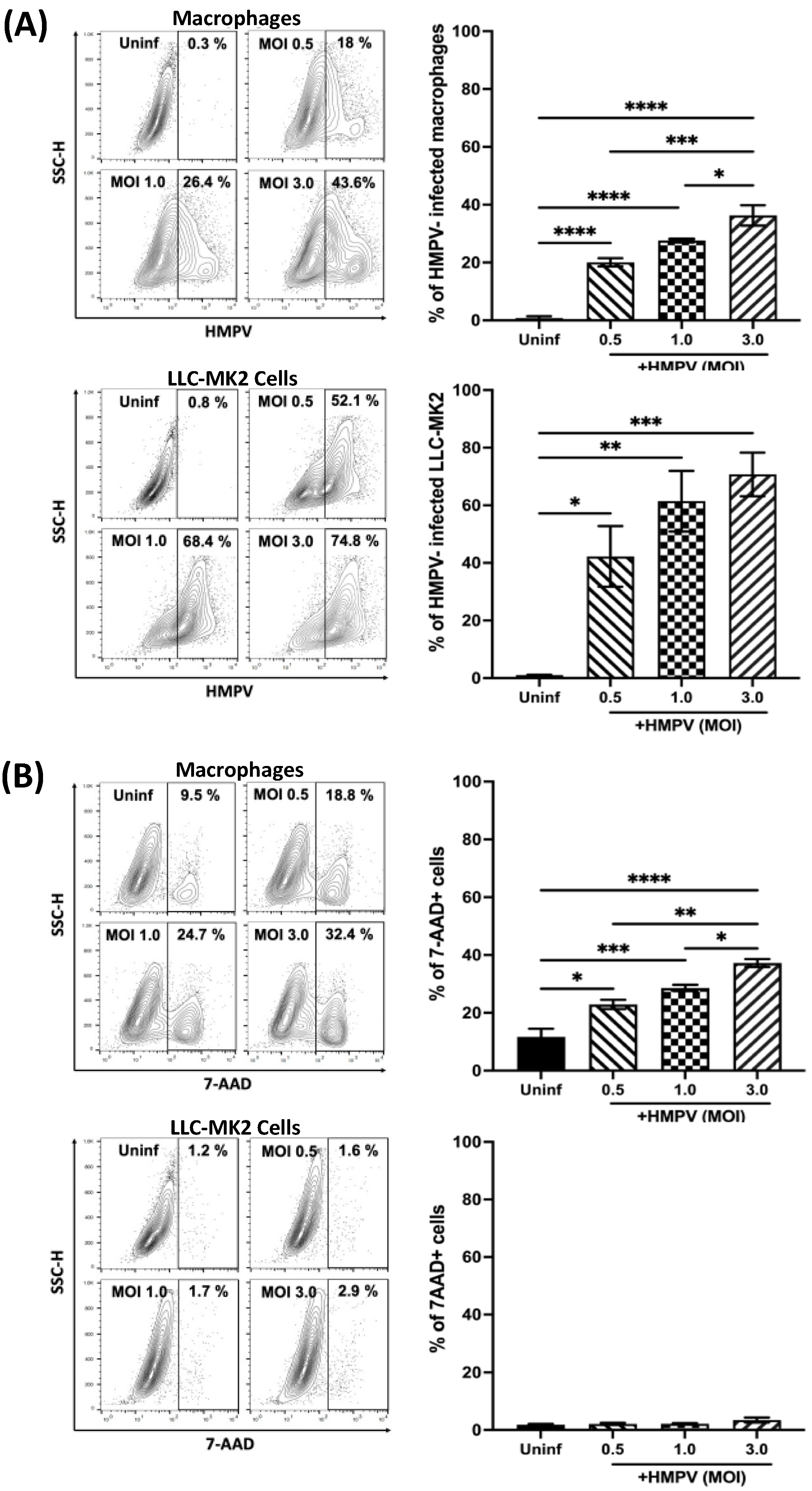 Viruses 15 02272 g001