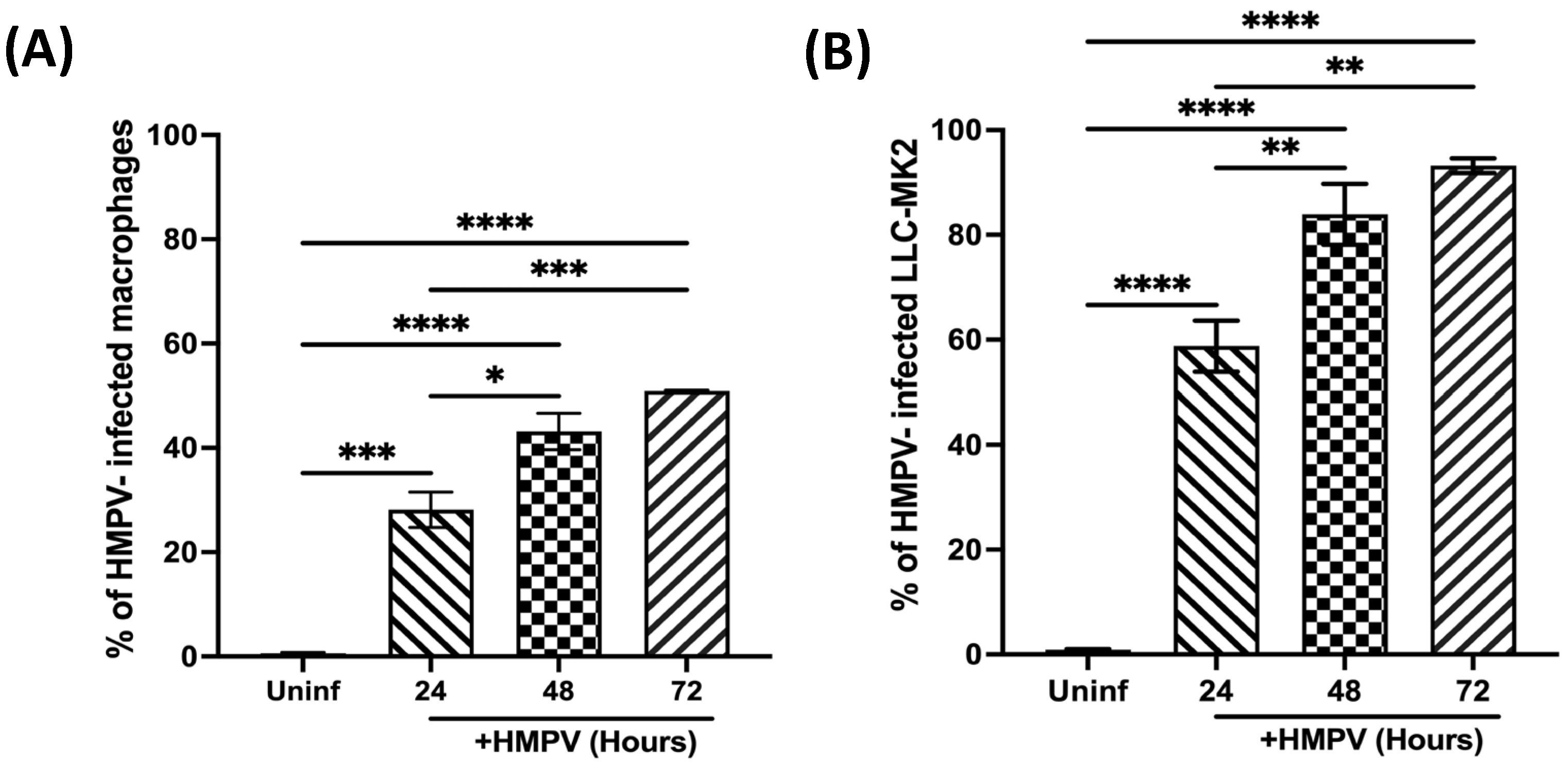 Viruses 15 02272 g002
