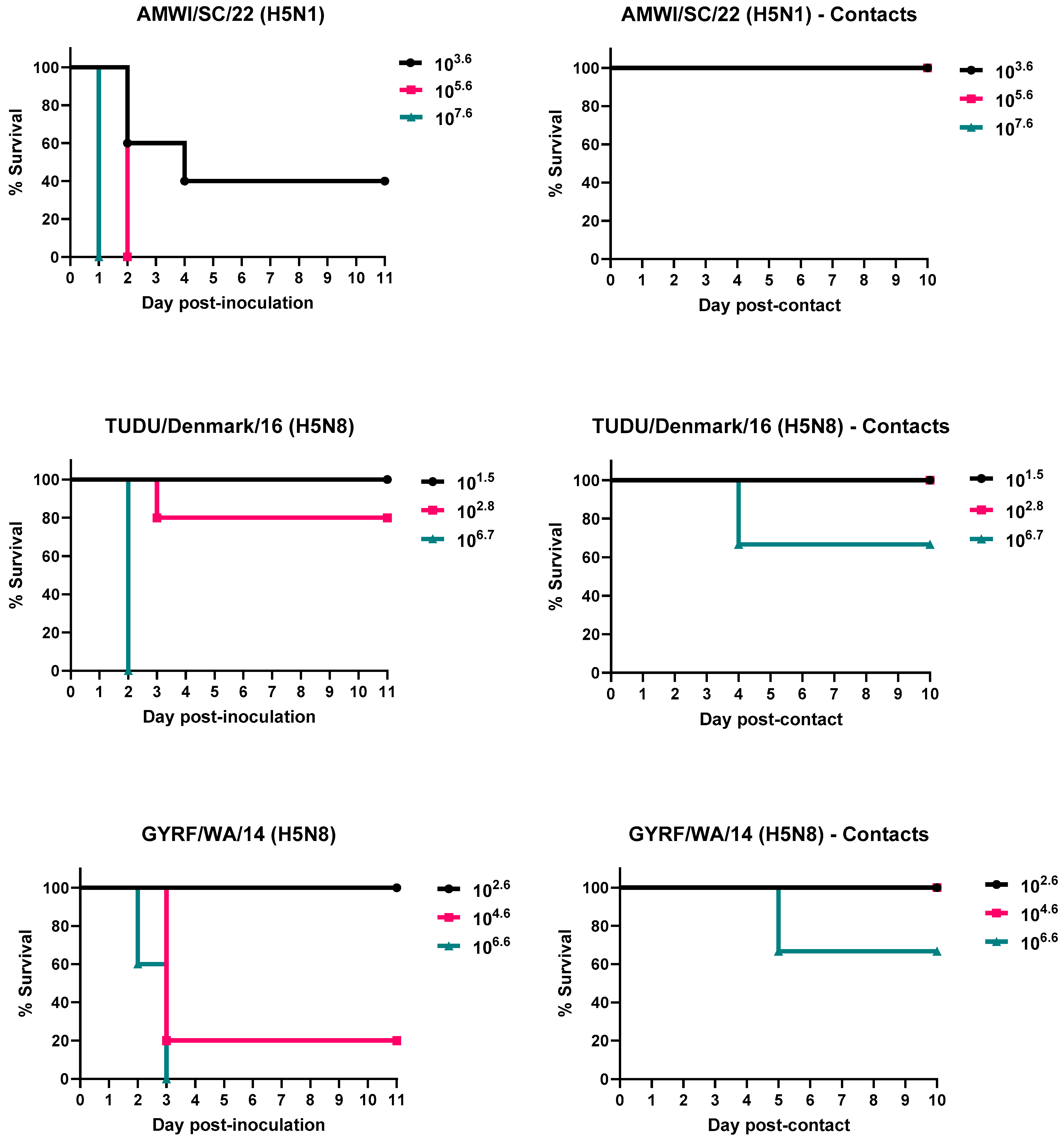 Viruses 15 02273 g001