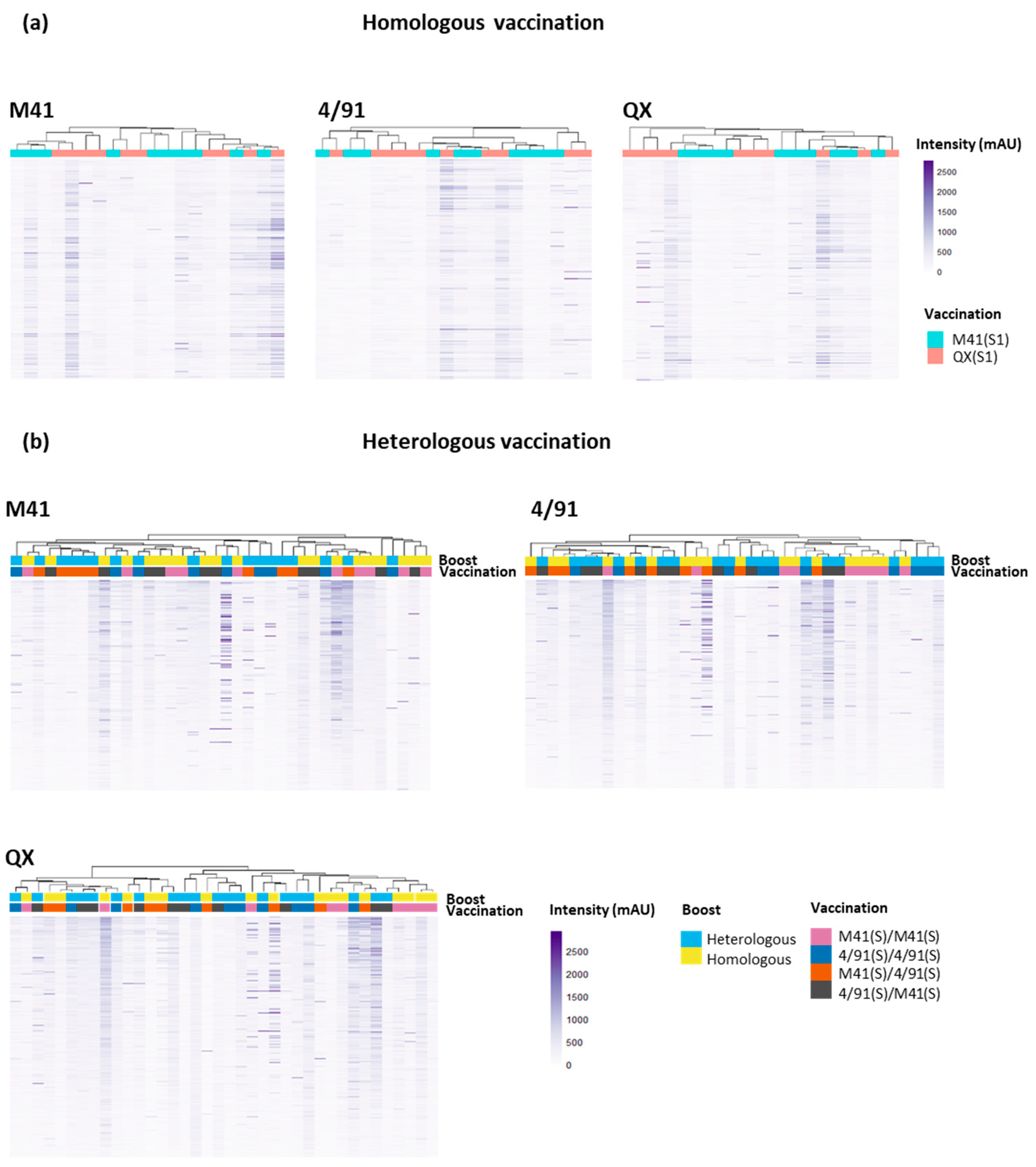Viruses 15 02279 g004