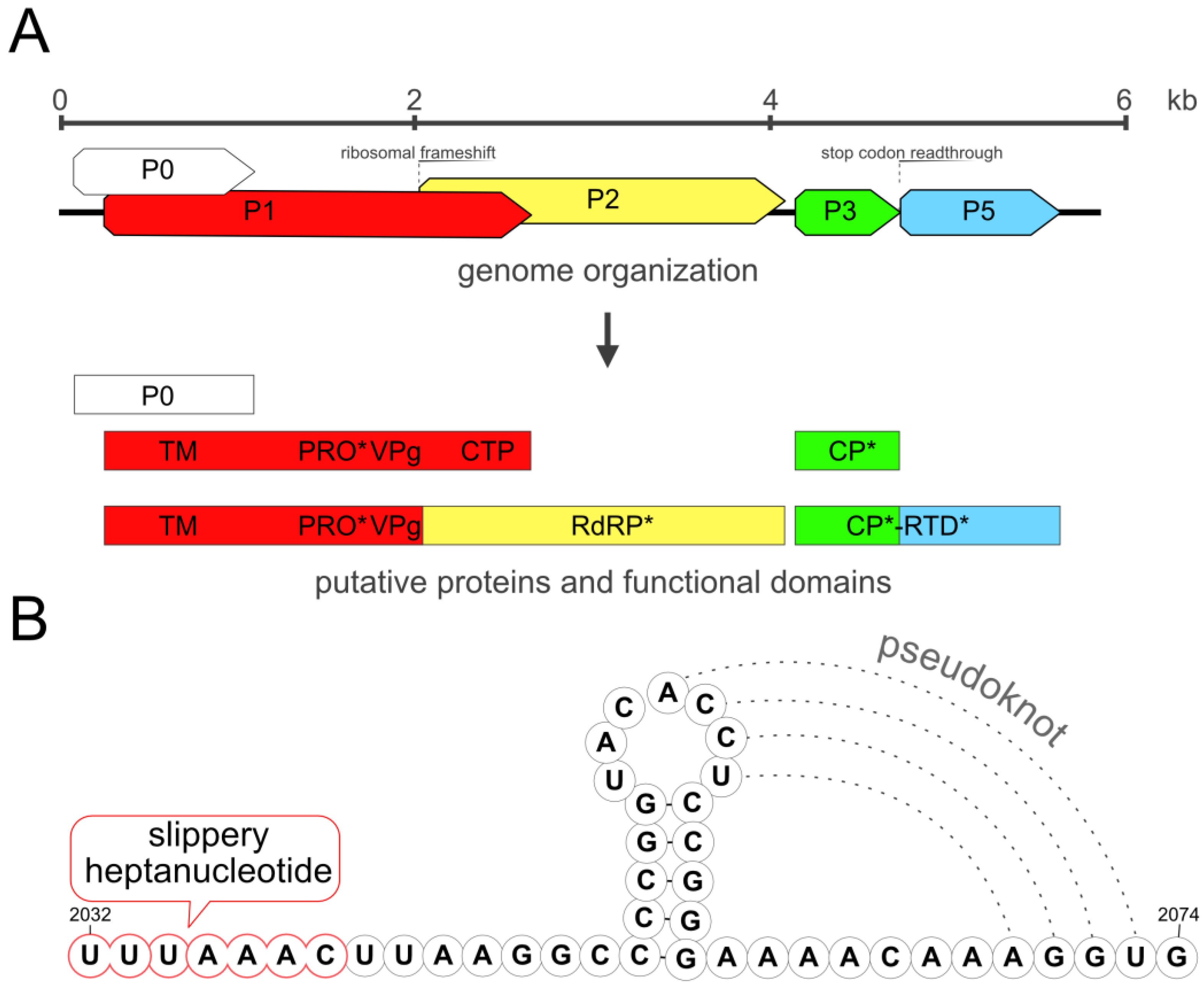 Viruses 15 02281 g003