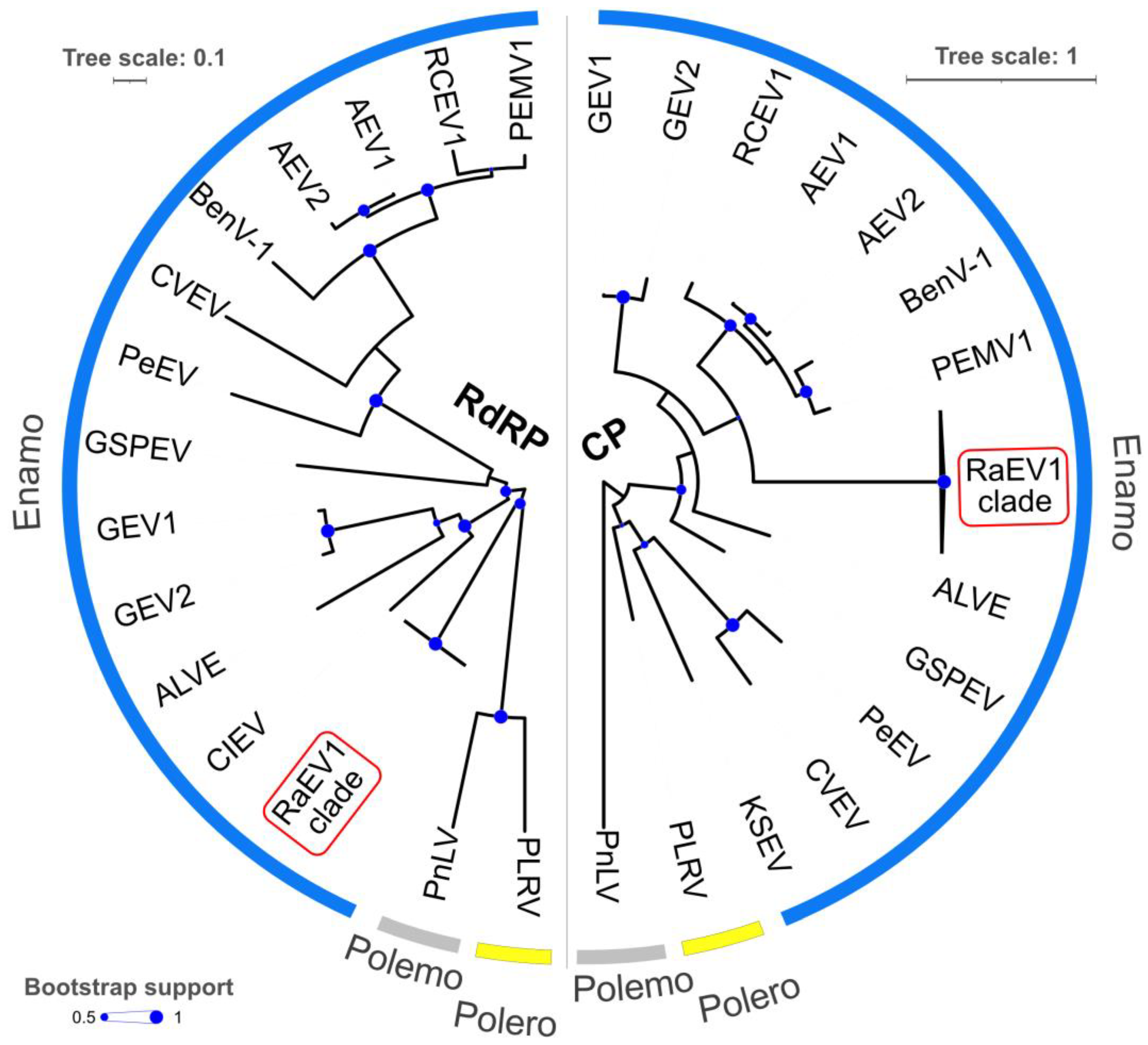 Viruses 15 02281 g004