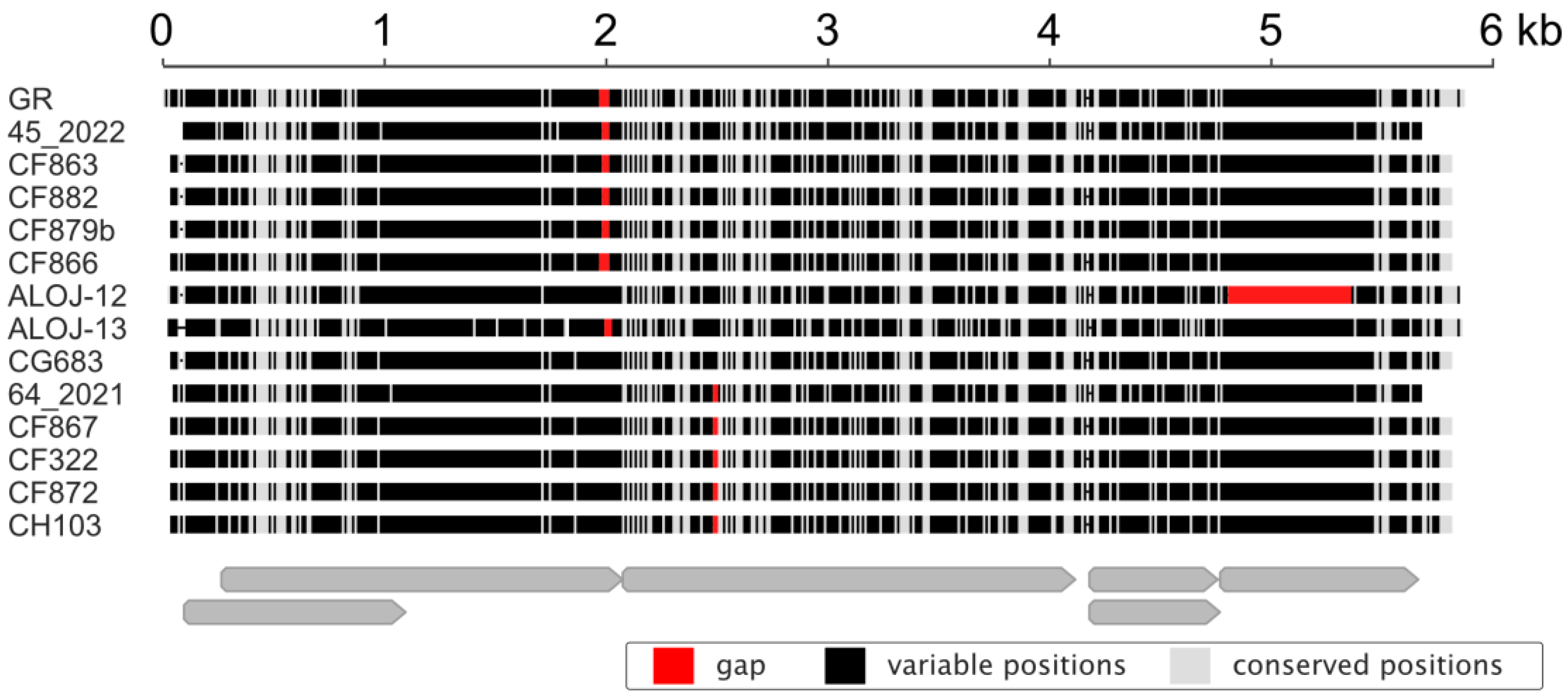 Viruses 15 02281 g006