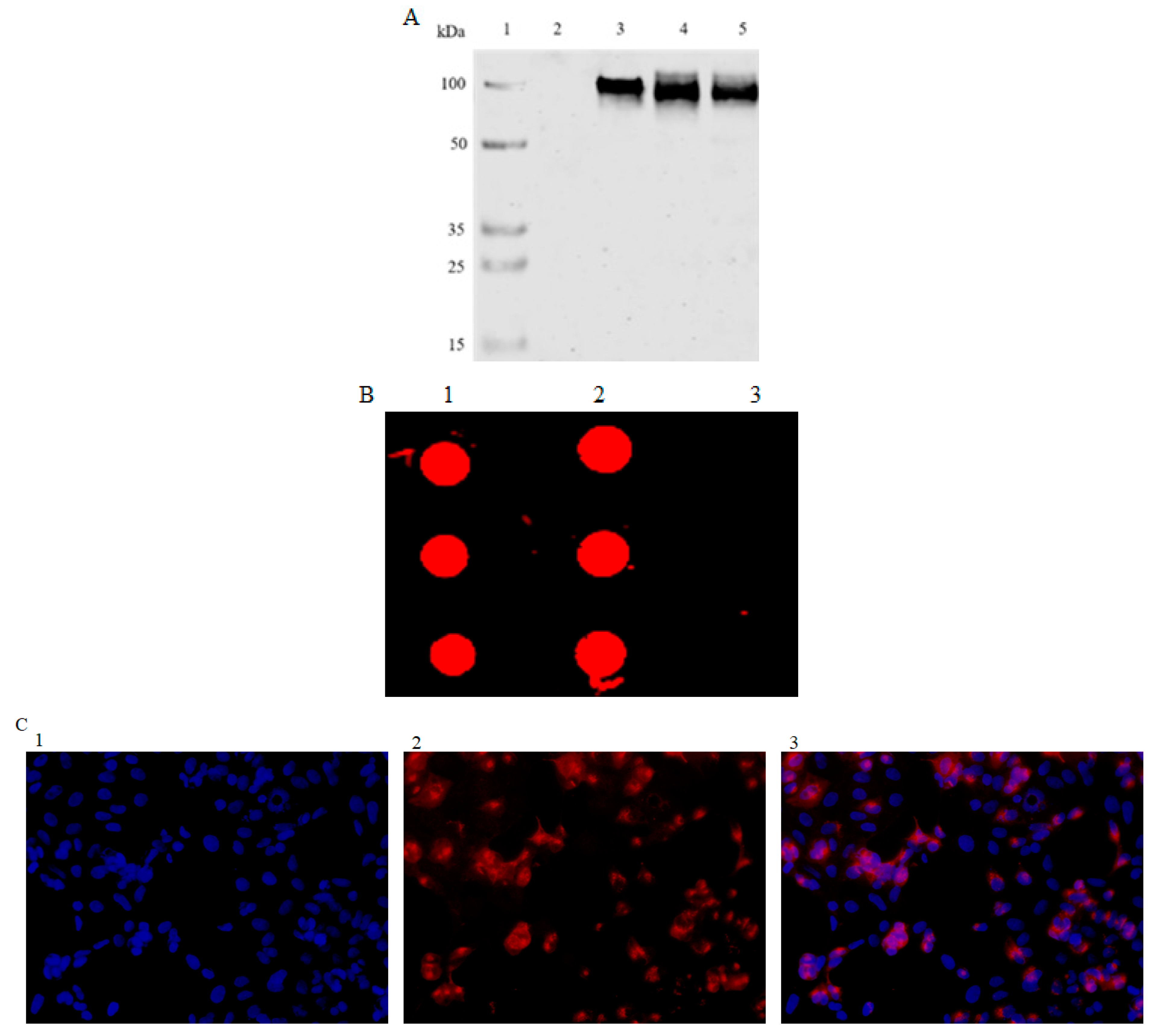 Viruses 15 02288 g002