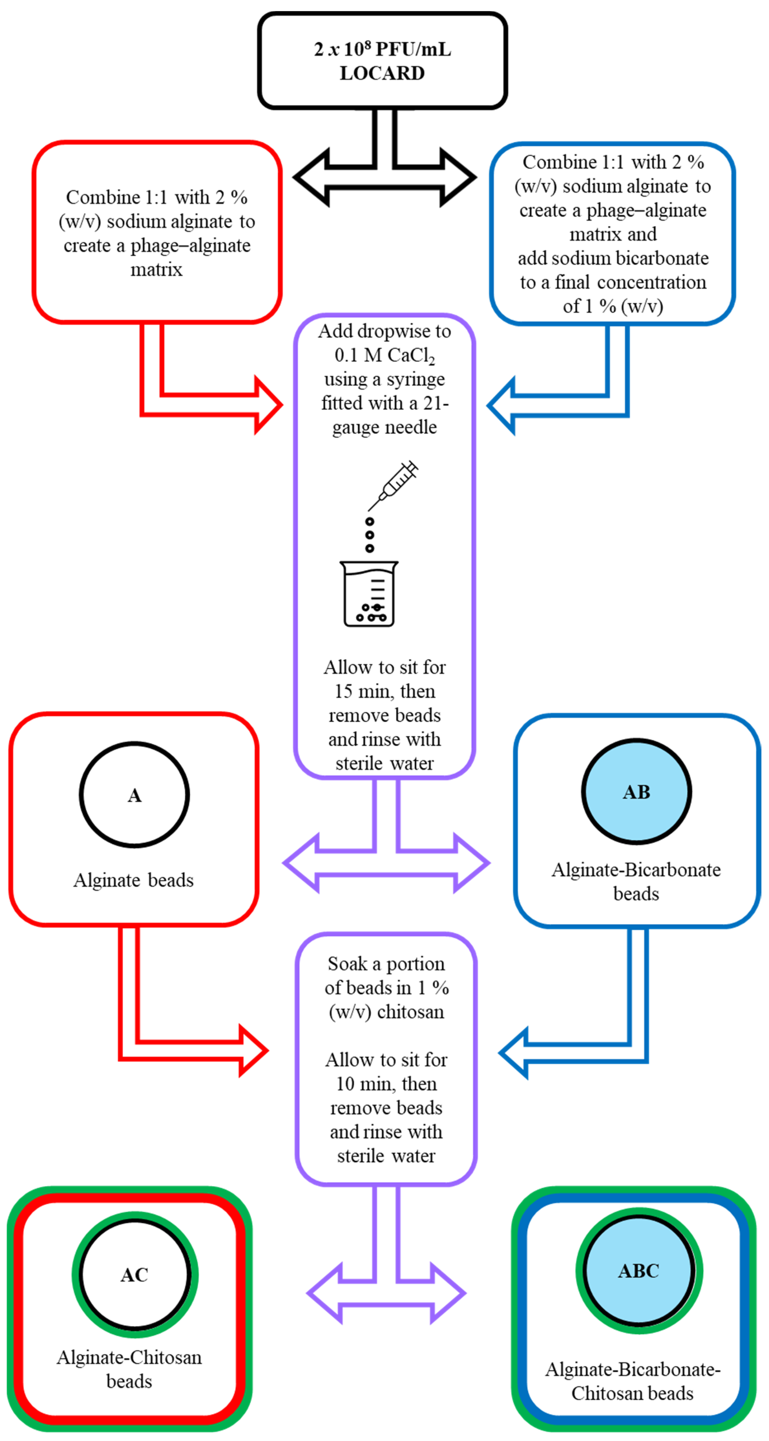 Viruses 15 02290 g001