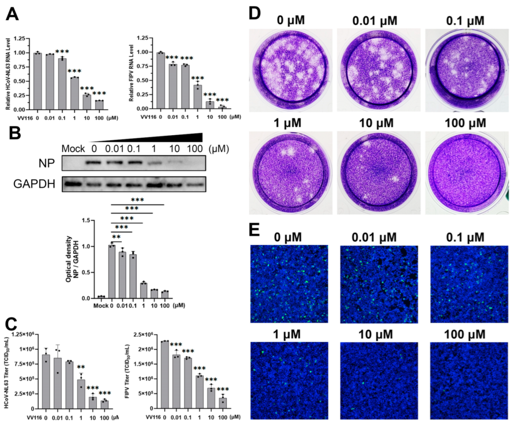 Viruses 15 02295 g002