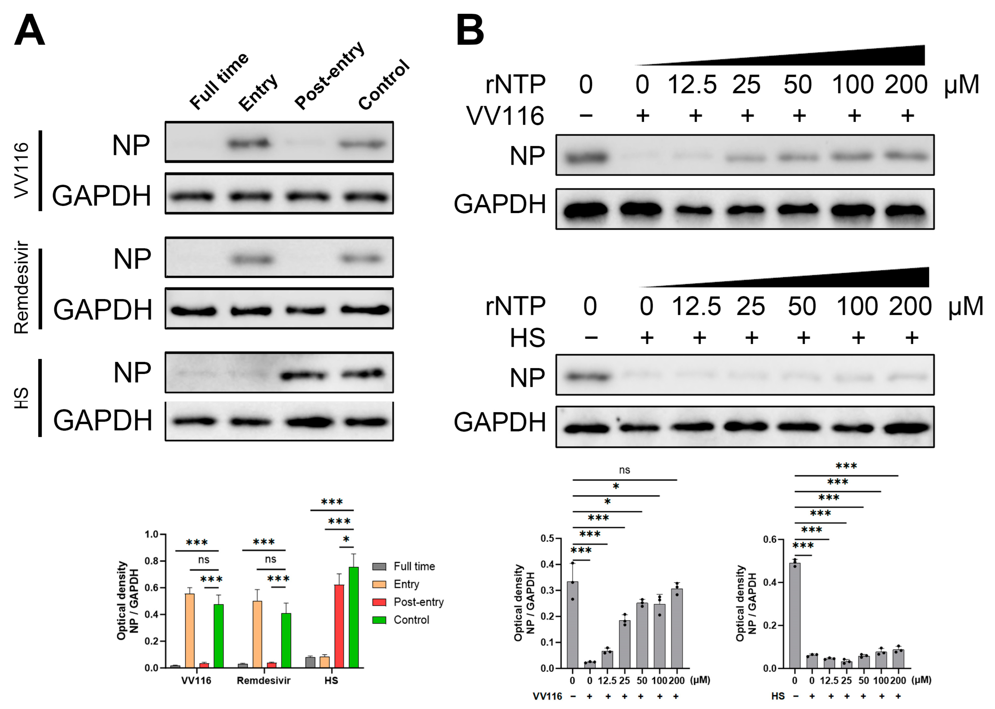 Viruses 15 02295 g003