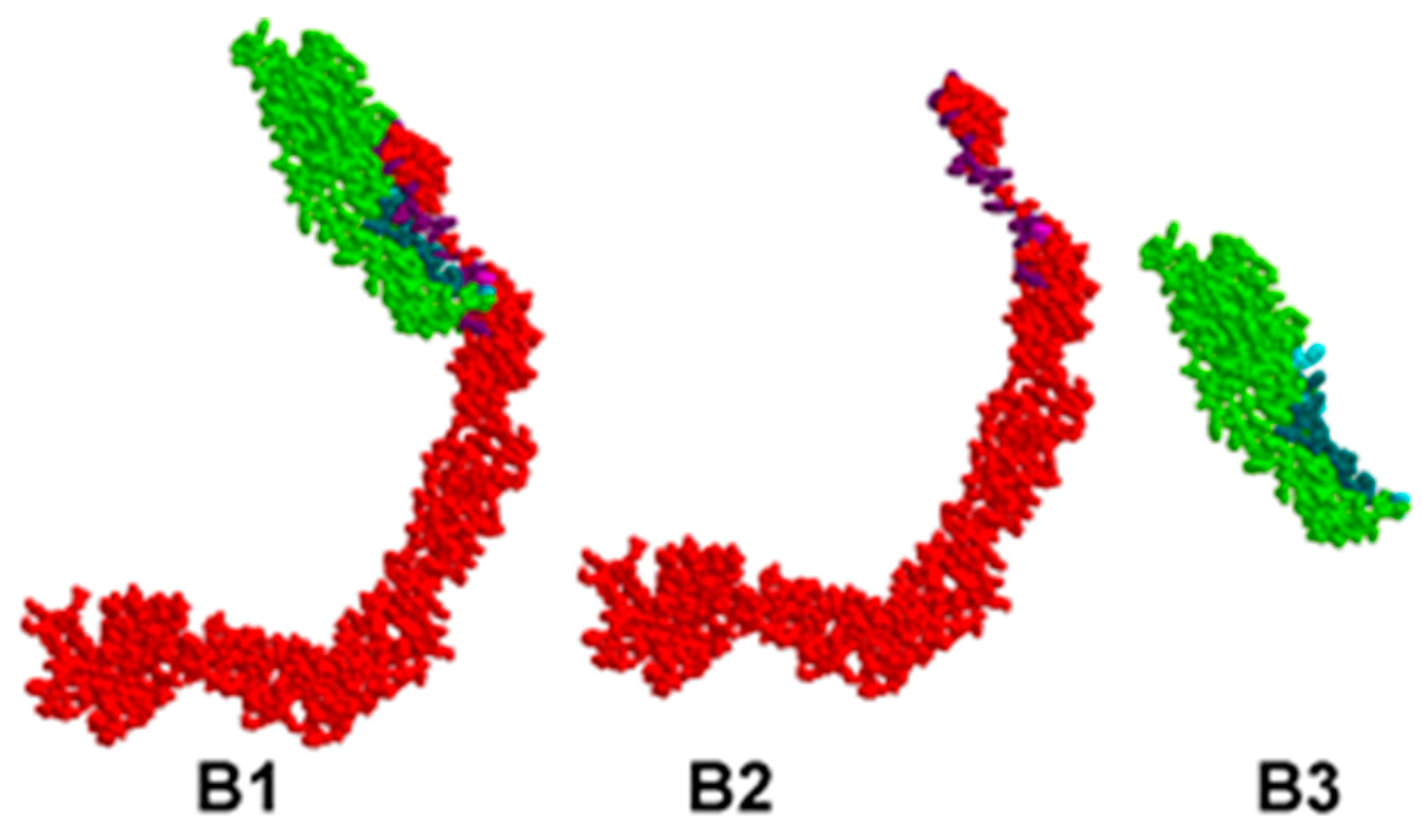 Viruses 15 02297 g002