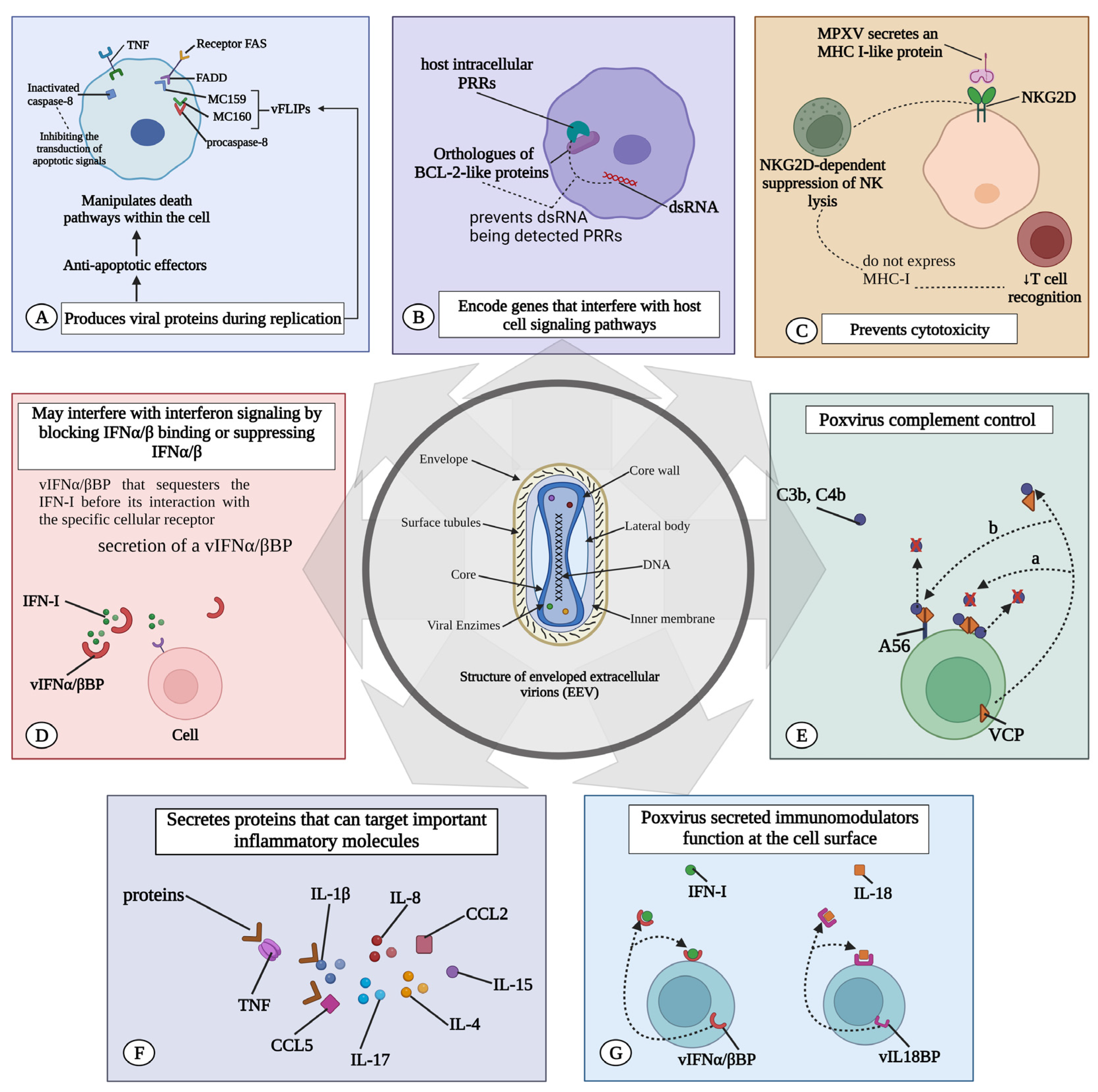 Viruses 15 02301 g002