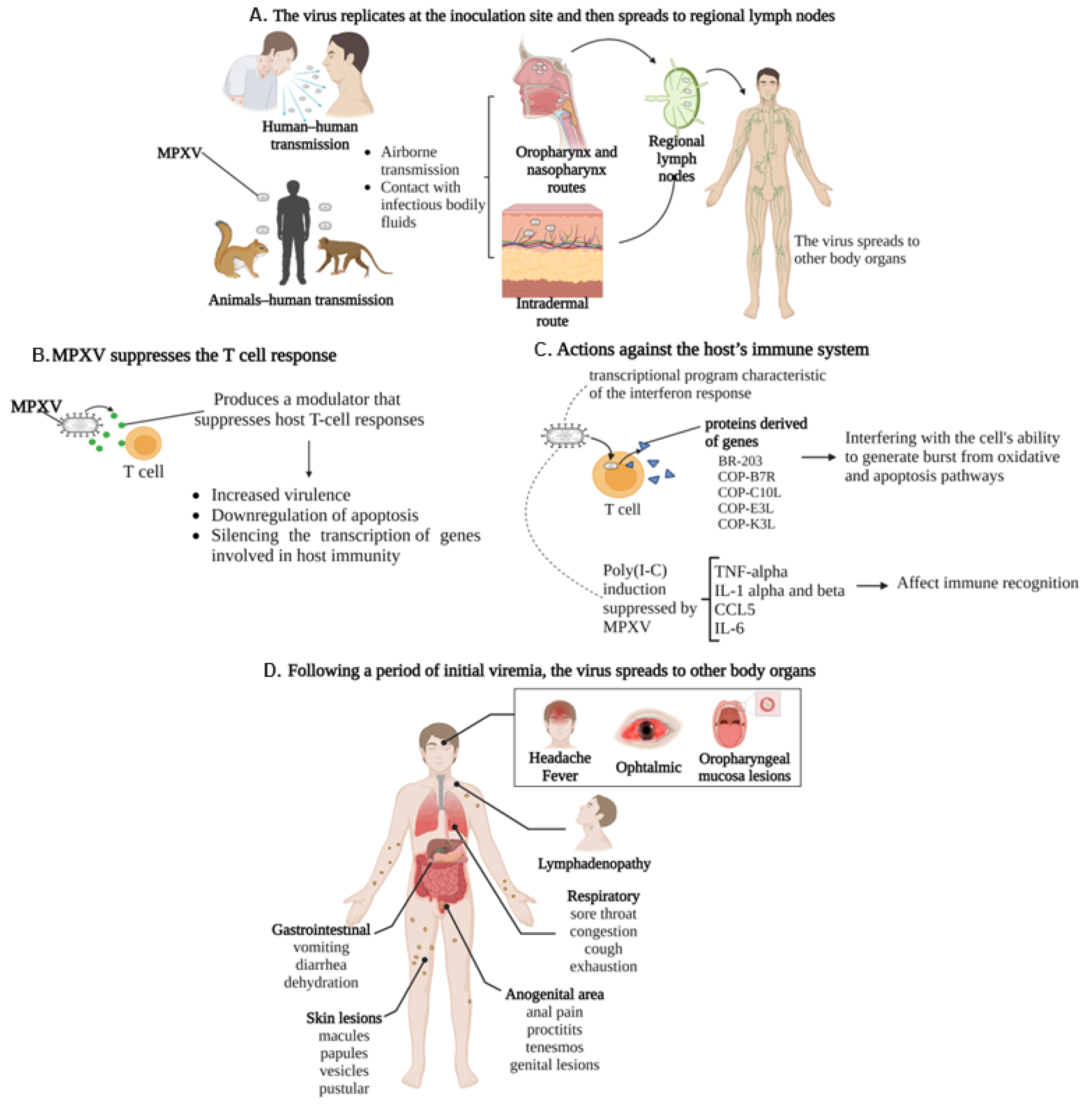 Viruses 15 02301 g003