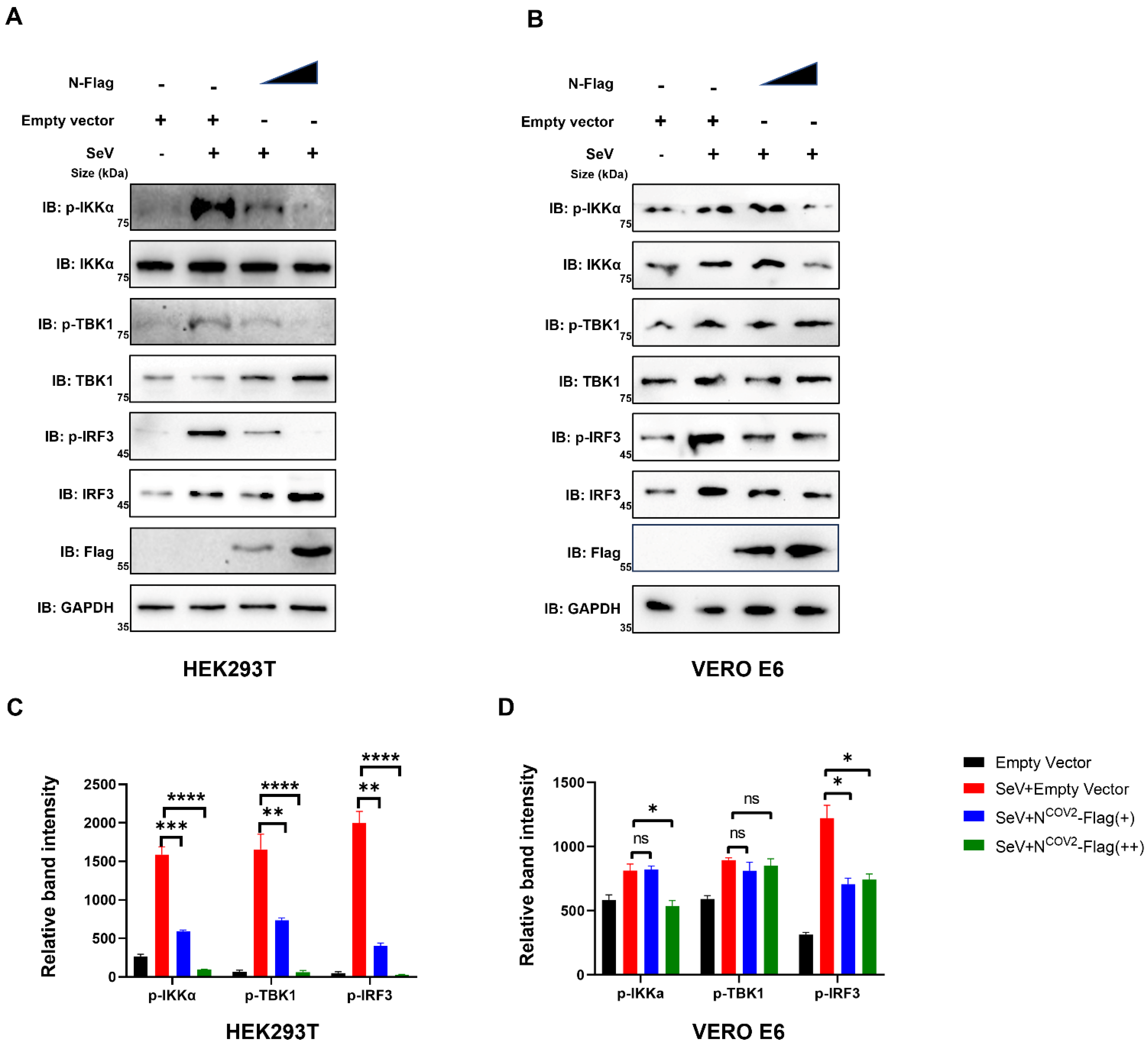 Viruses 15 02304 g007